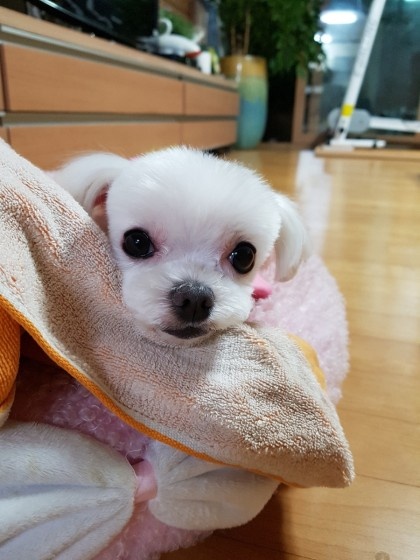 리뷰 사진 1
