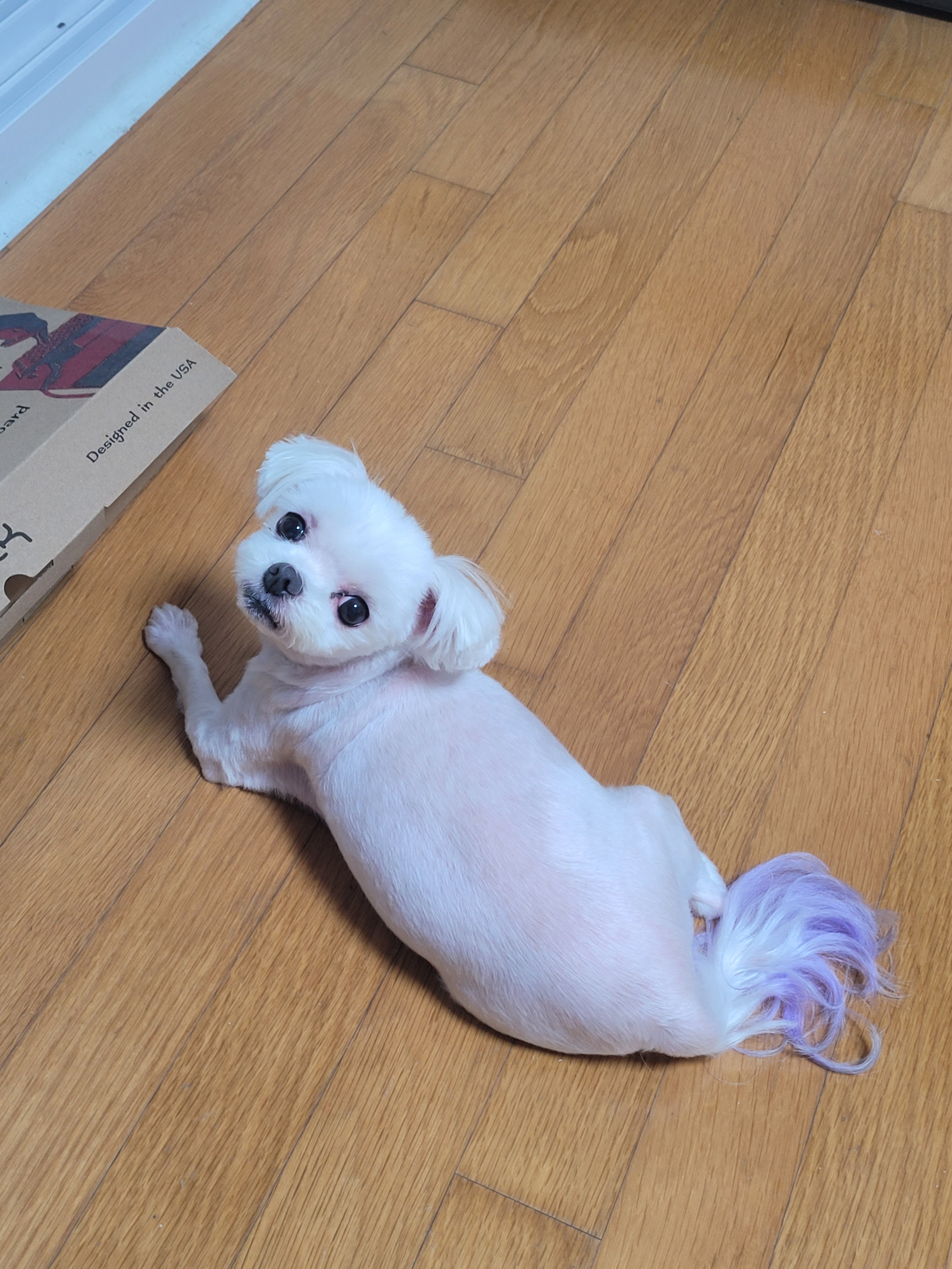리뷰 사진 4