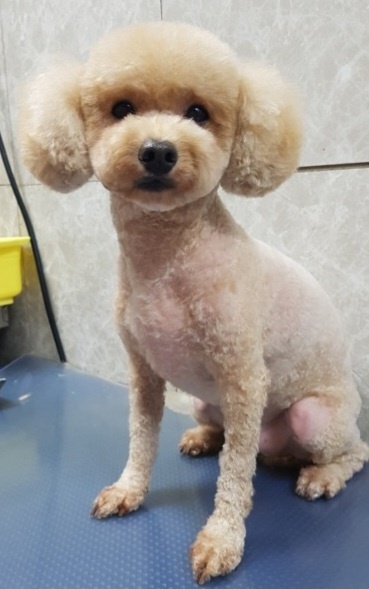 리뷰 사진 1