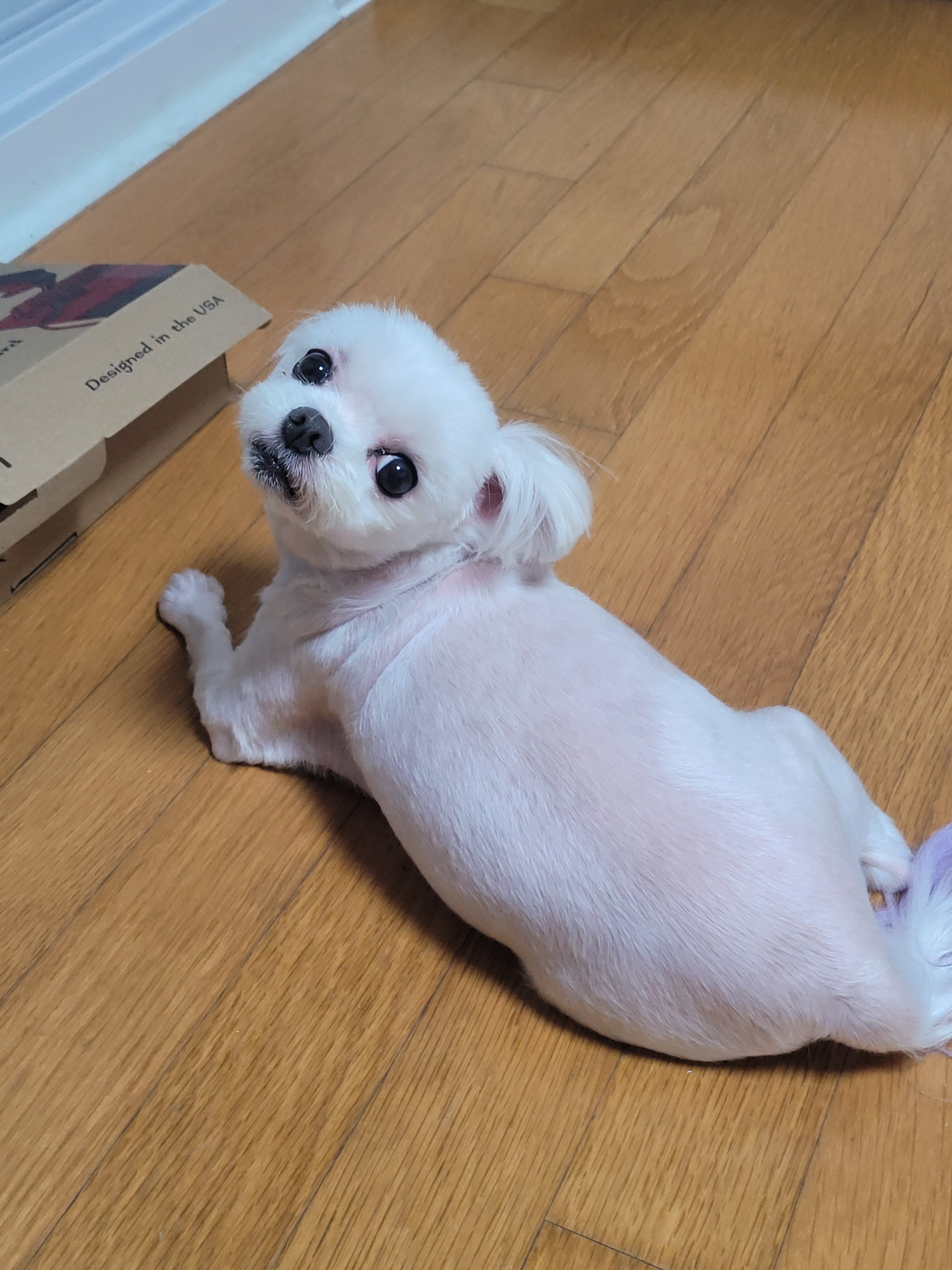 리뷰 사진 2