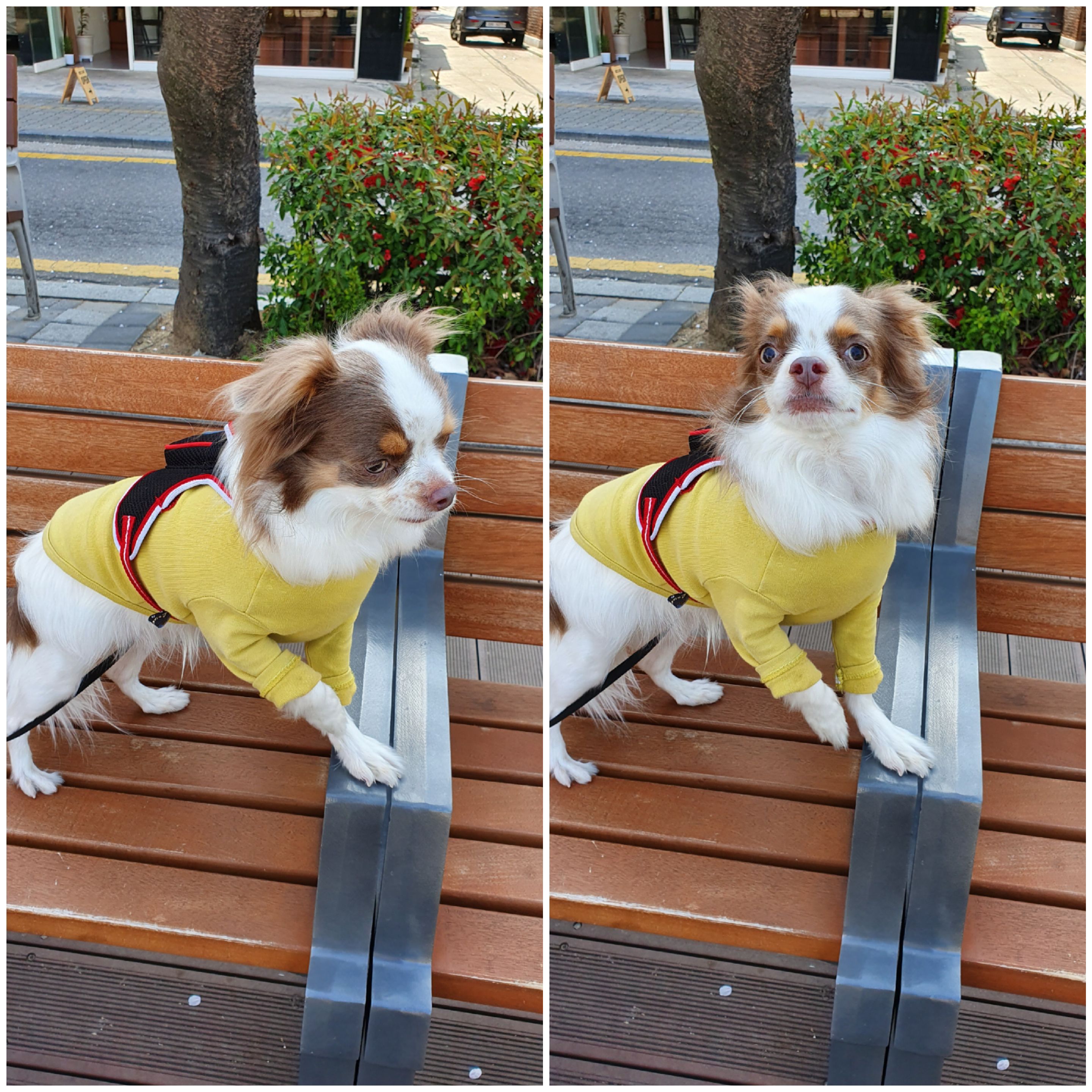 리뷰 사진 1