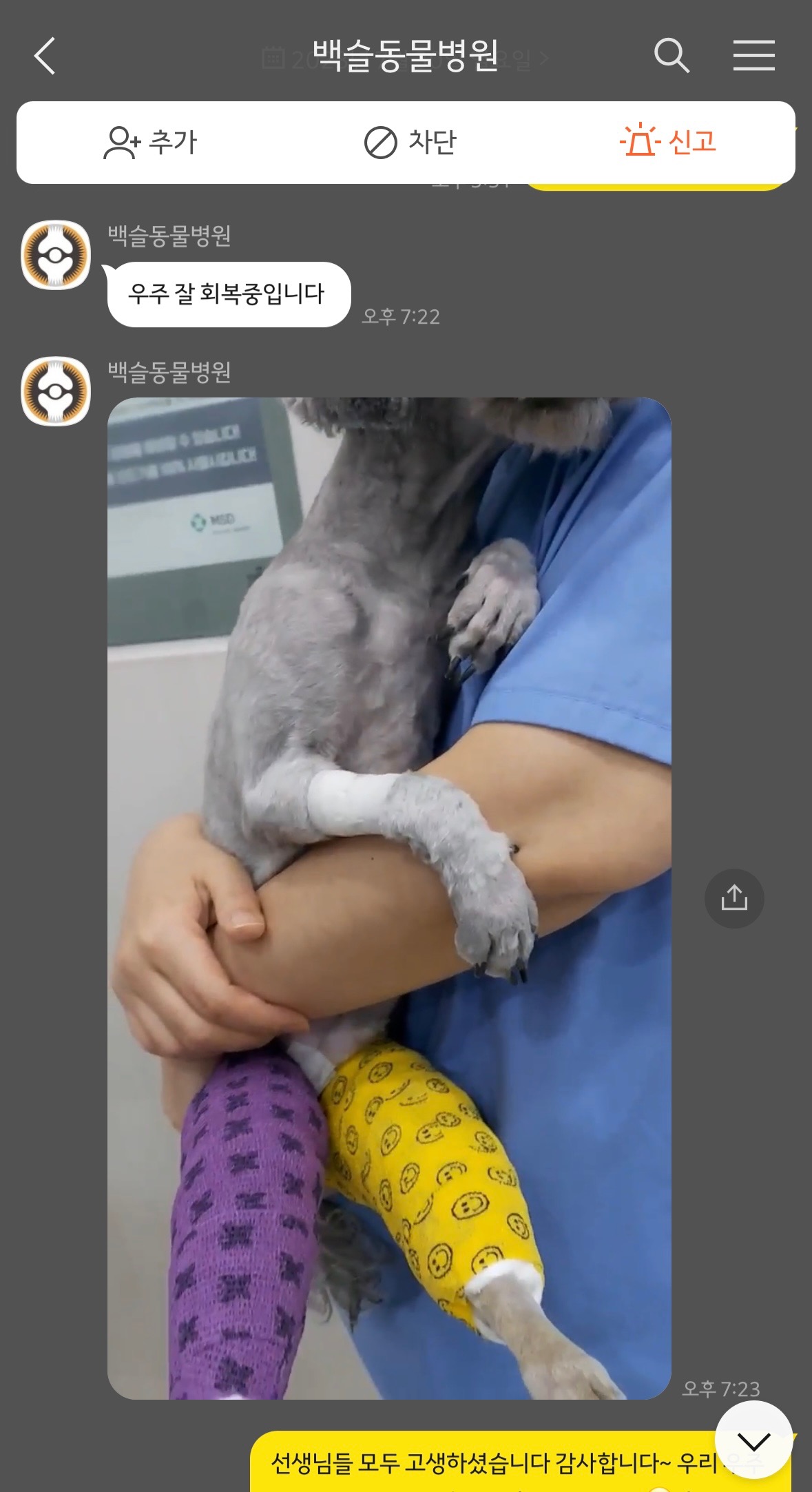 백슬동물병원 사진 4