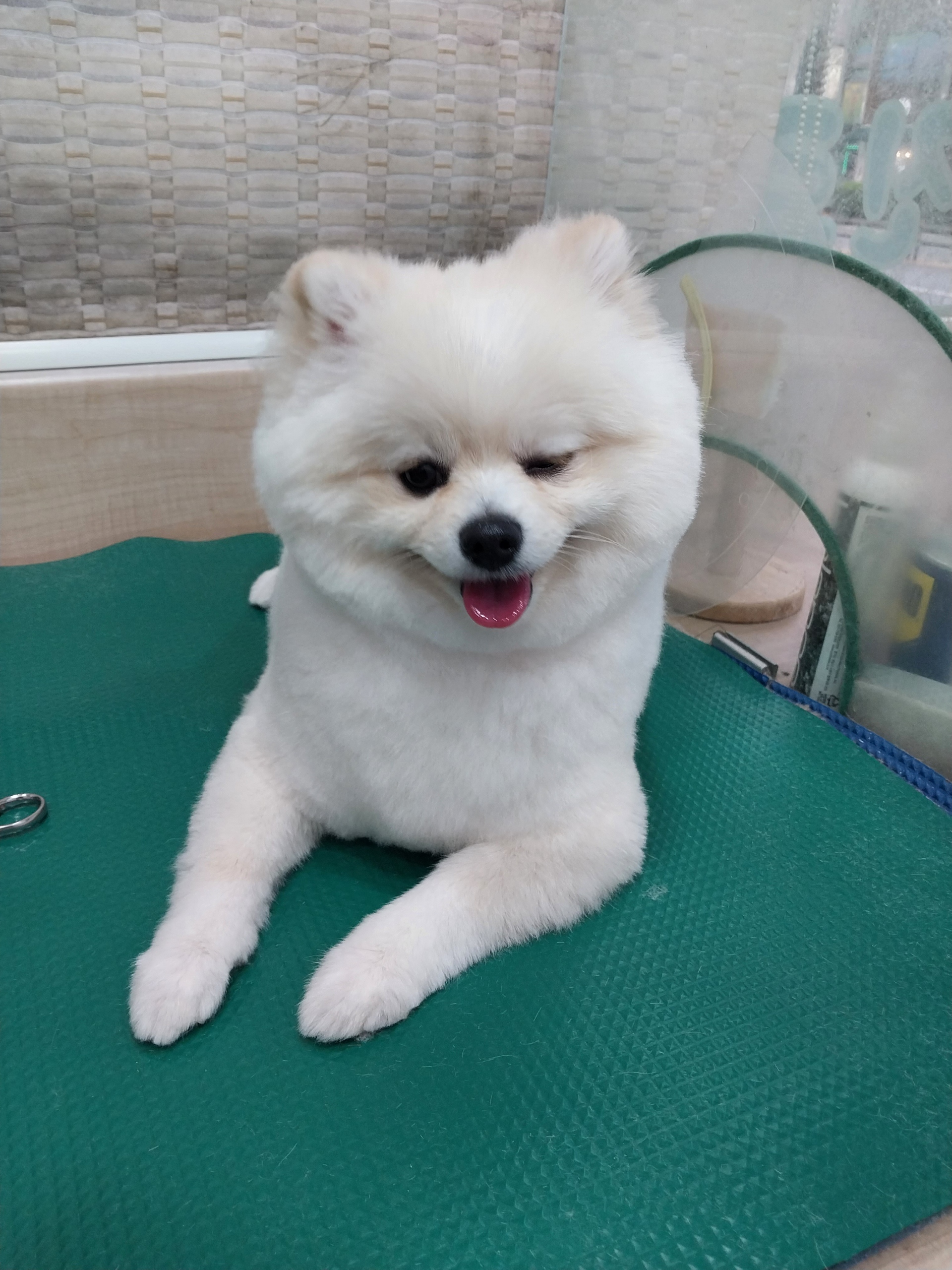 리뷰 사진 1