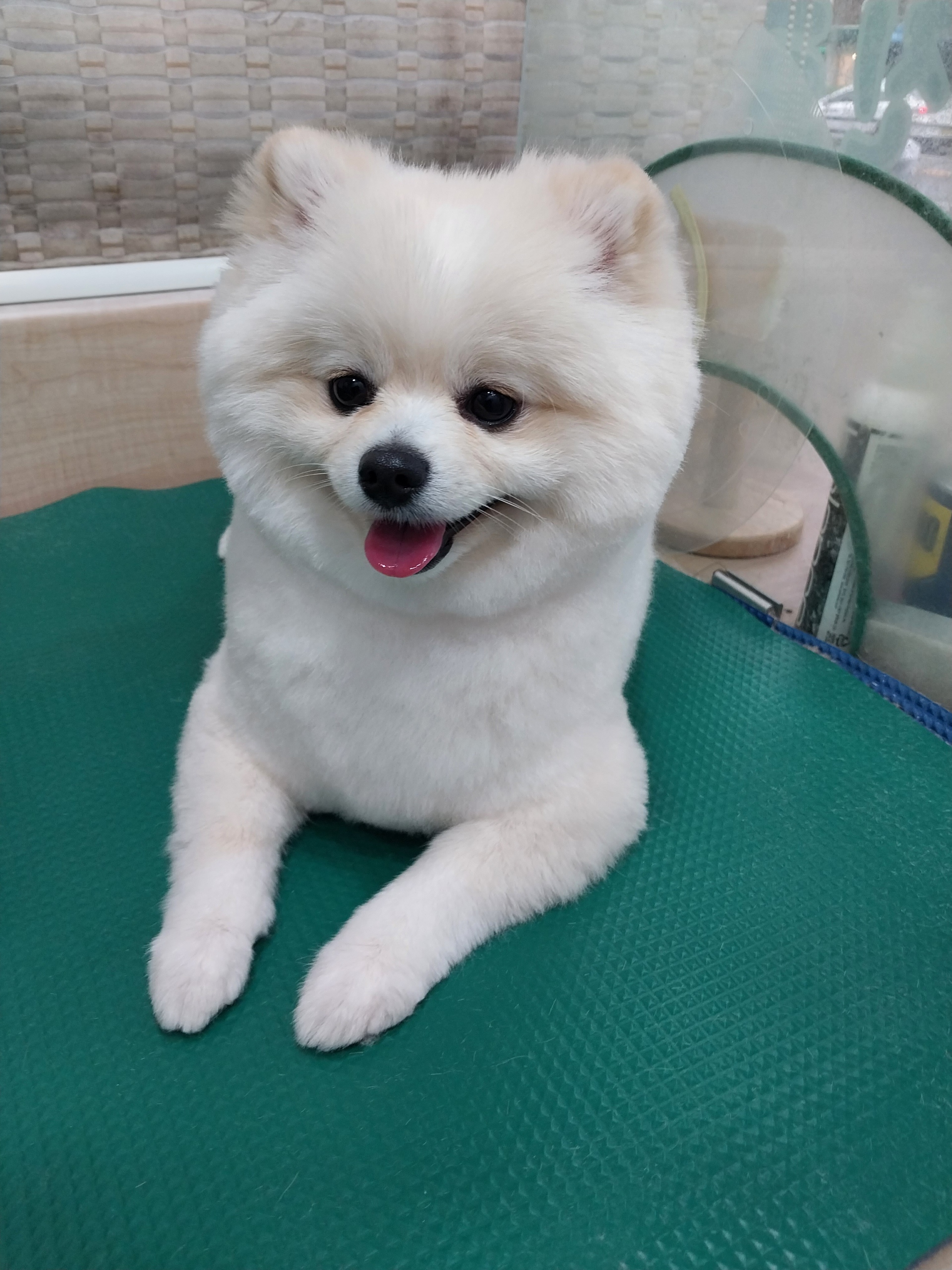 리뷰 사진 2