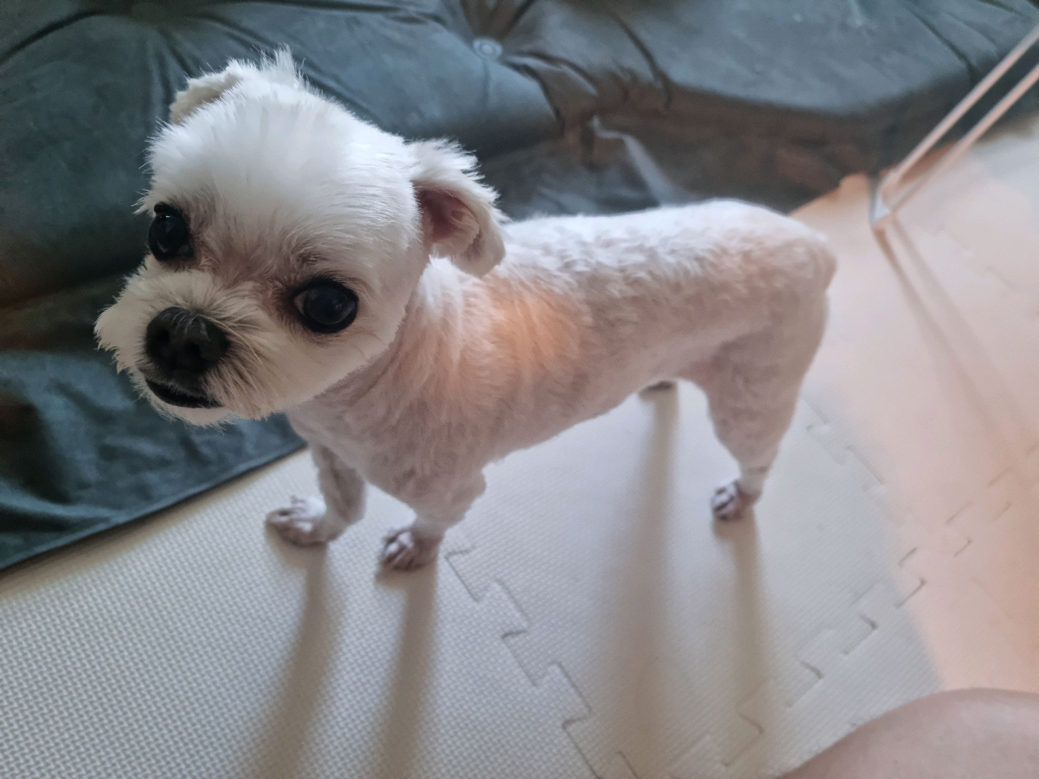 리뷰 사진 1
