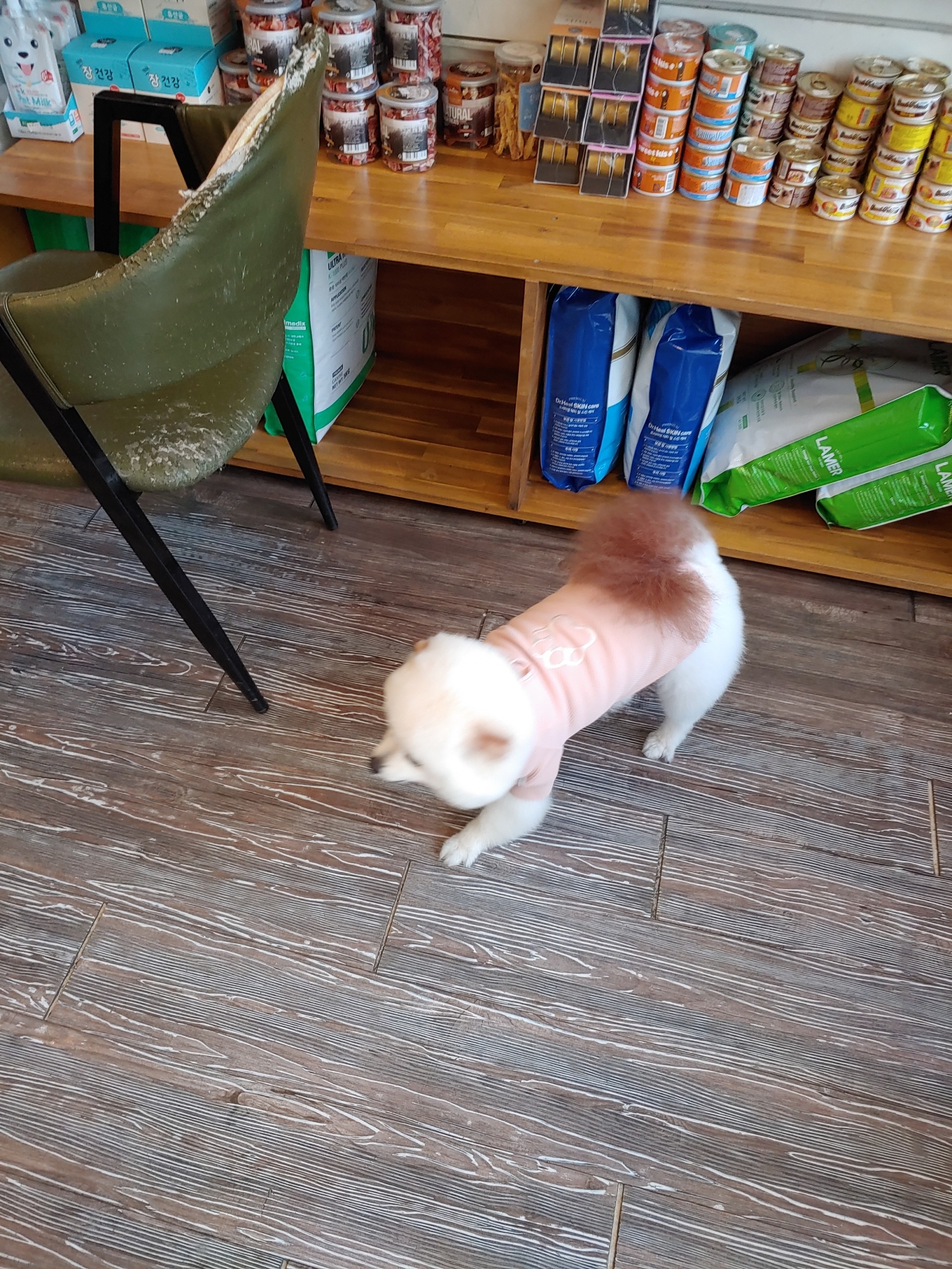 리뷰 사진 2