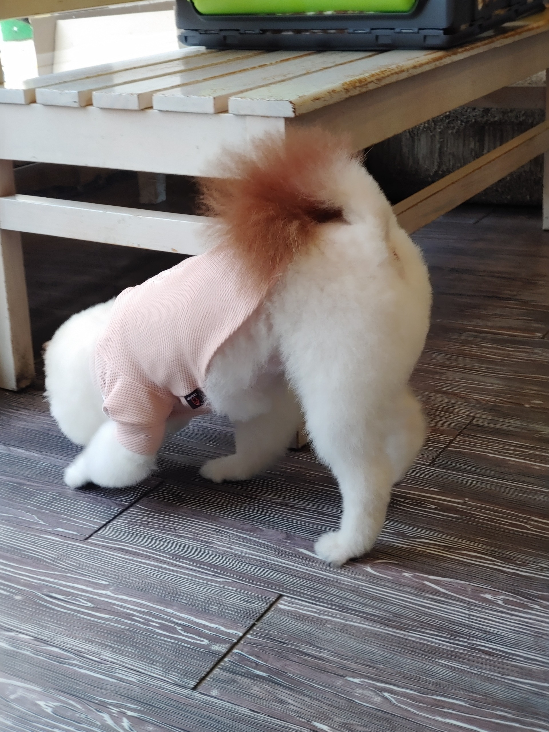 리뷰 사진 1