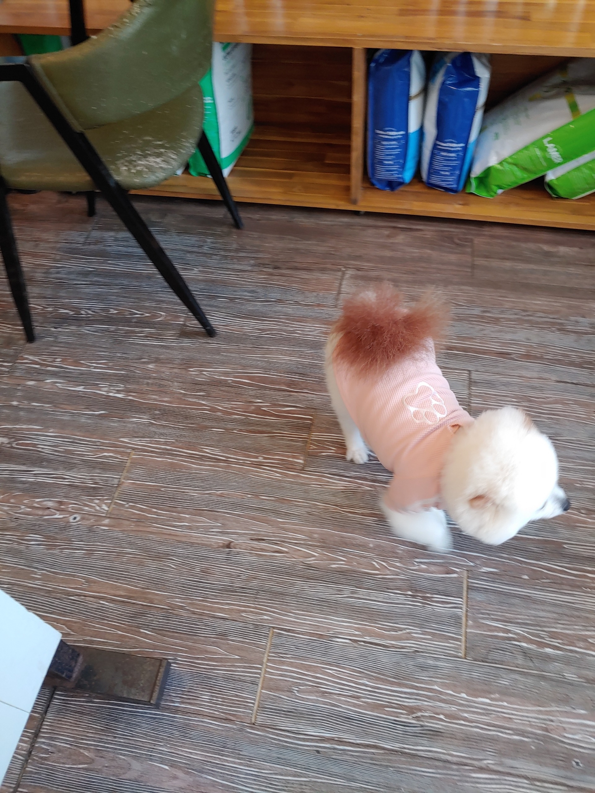 리뷰 사진 3