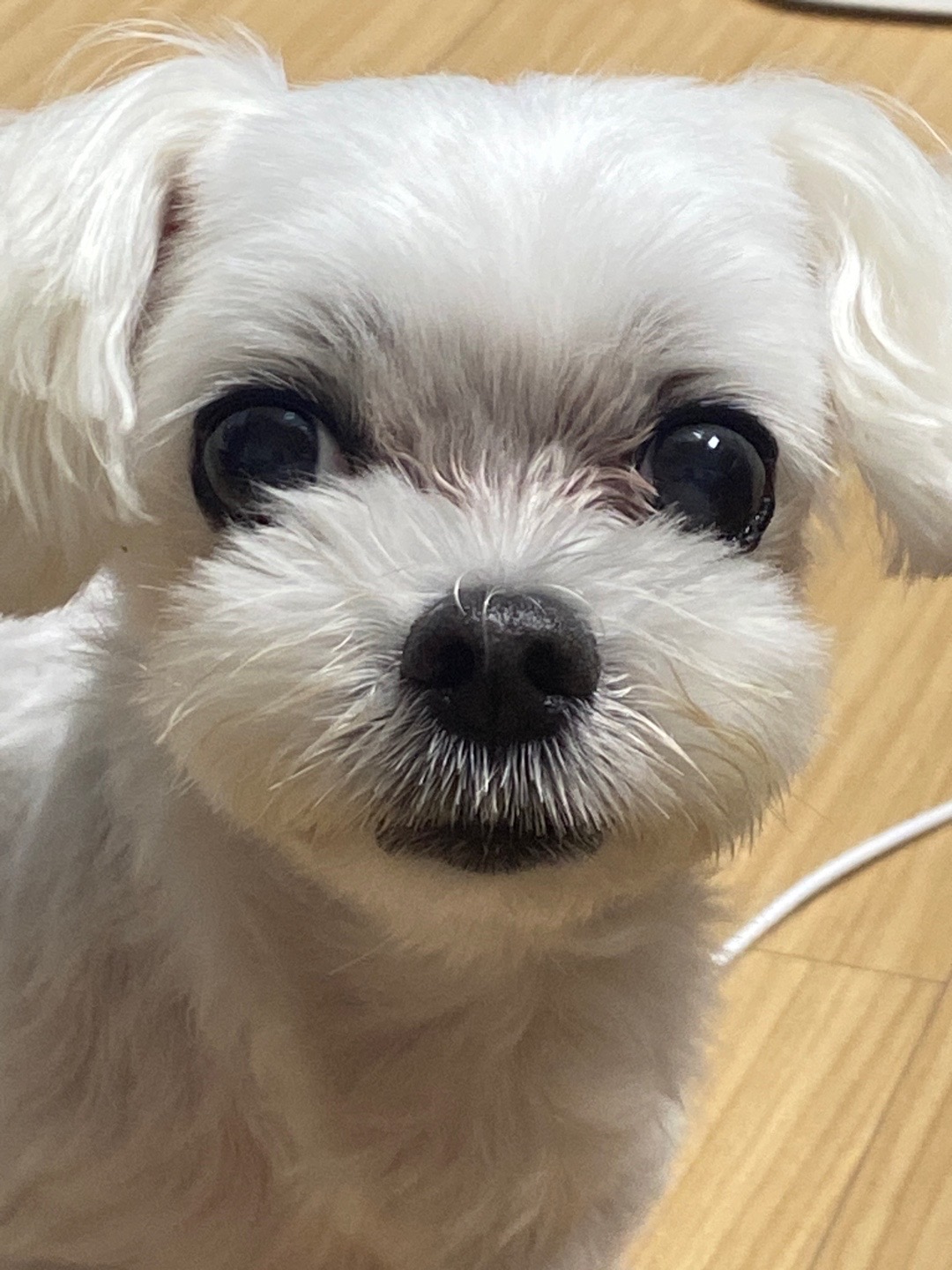 리뷰 사진 1