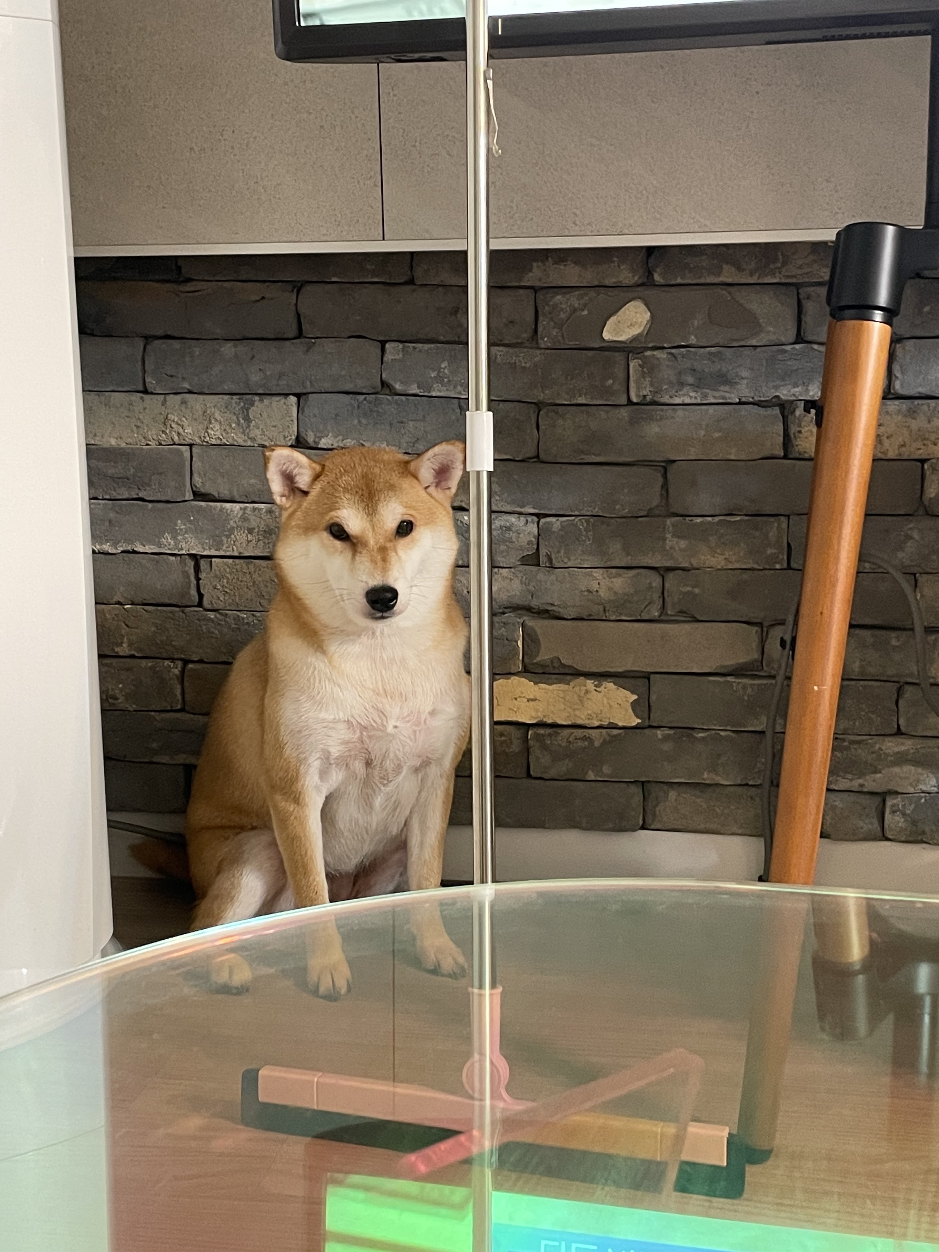 리뷰 사진 1