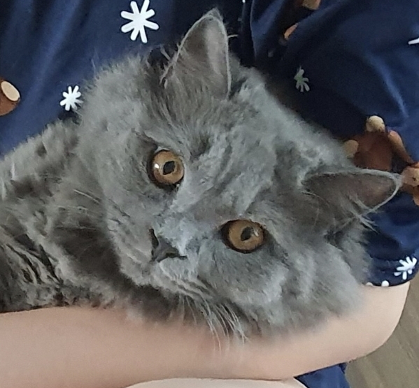 리뷰 사진 1