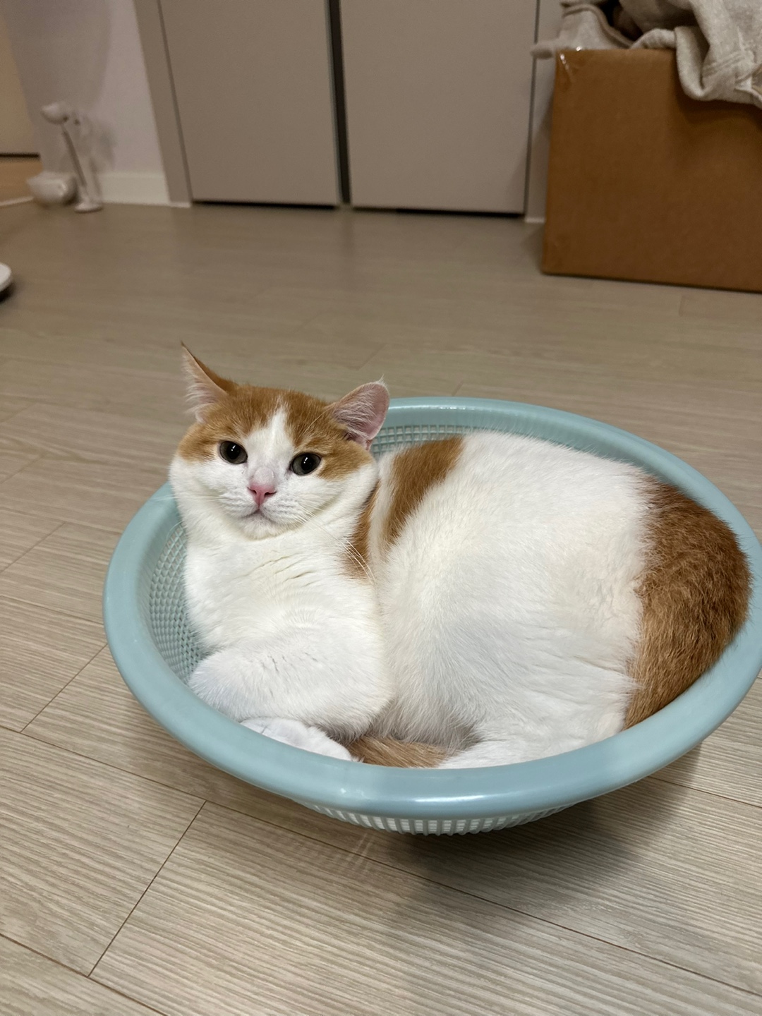 리뷰 사진 1
