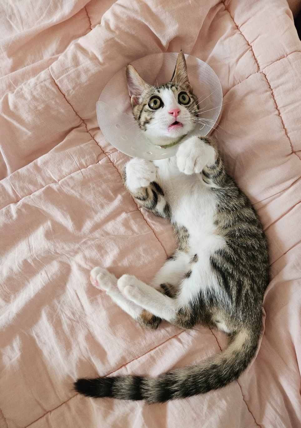 리뷰 사진 1