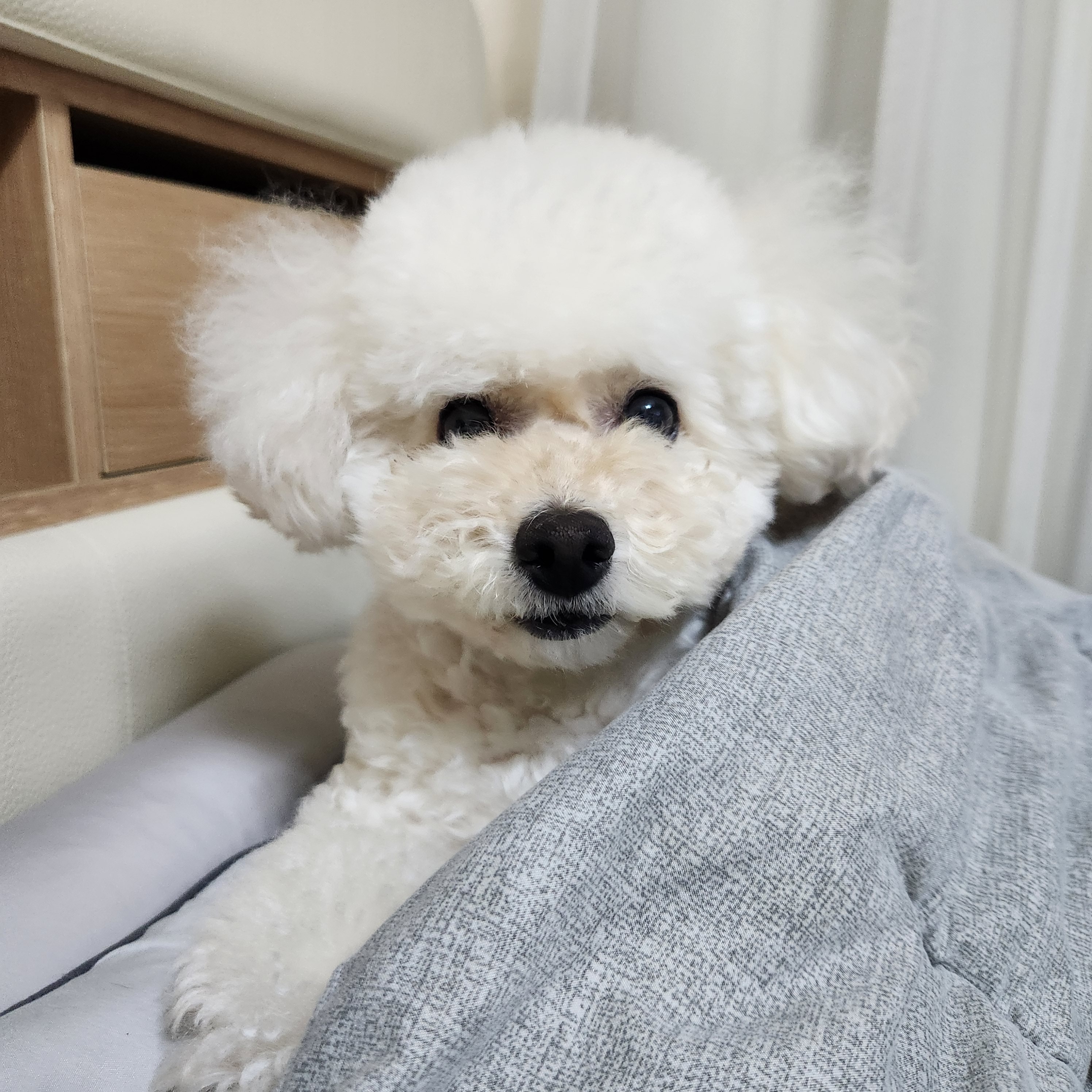리뷰 사진 1