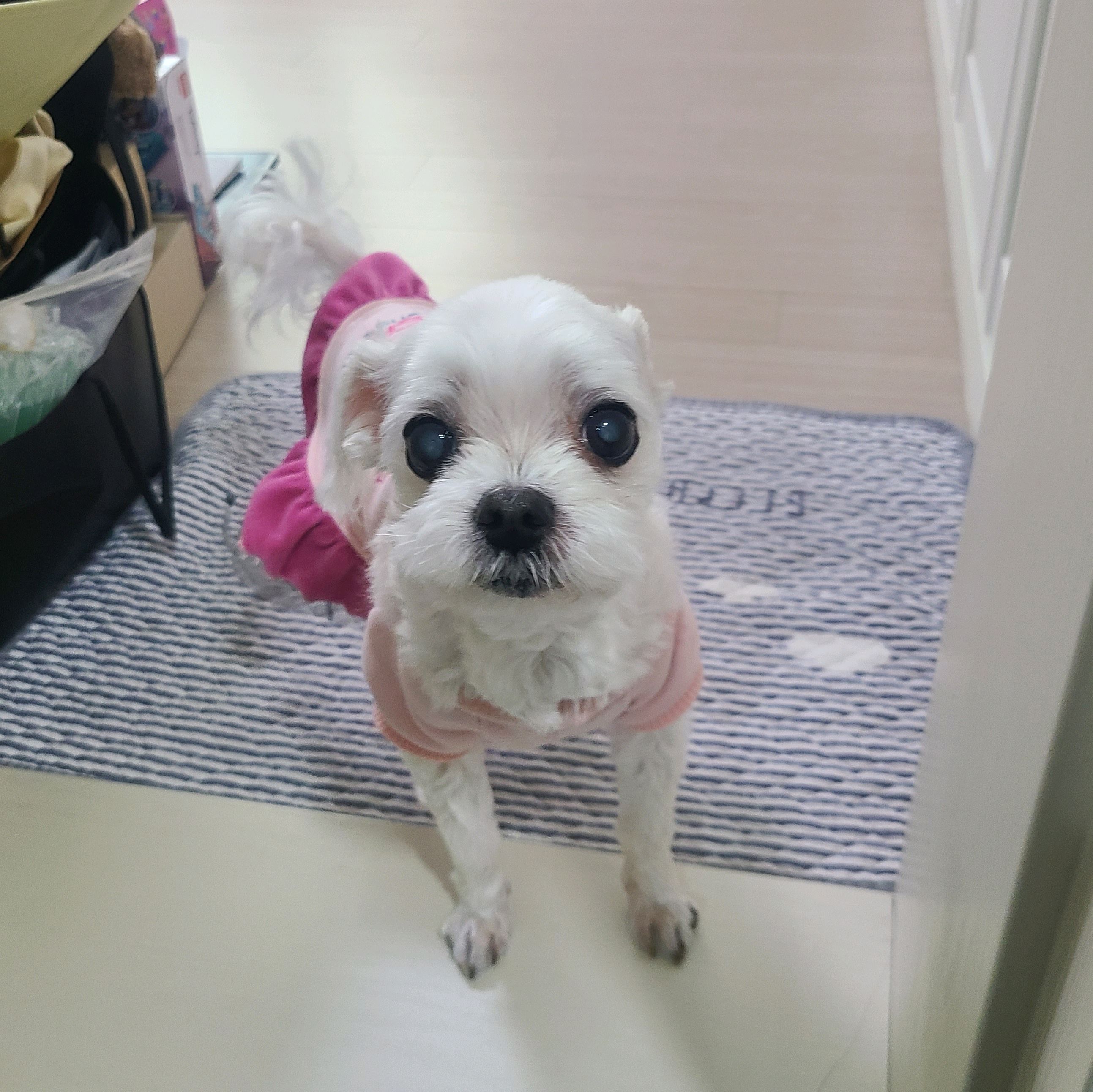 리뷰 사진 1