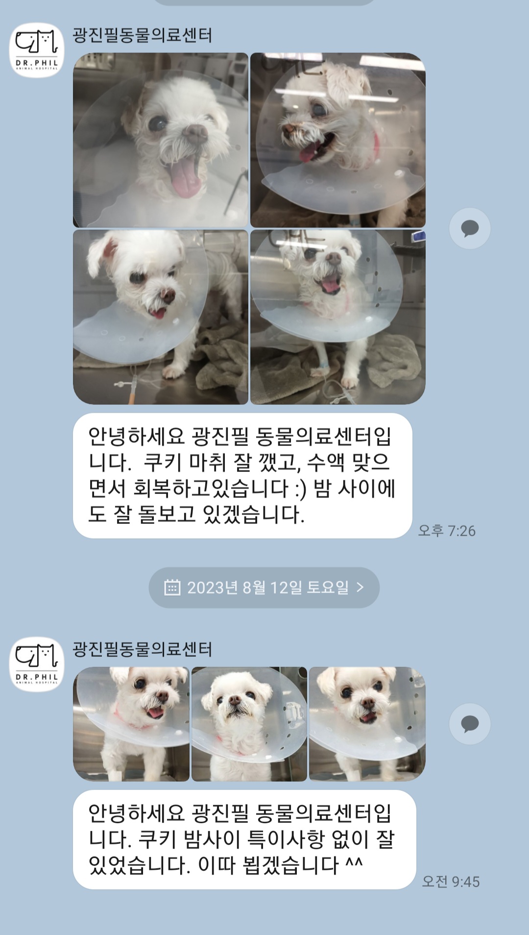 리뷰 사진 1