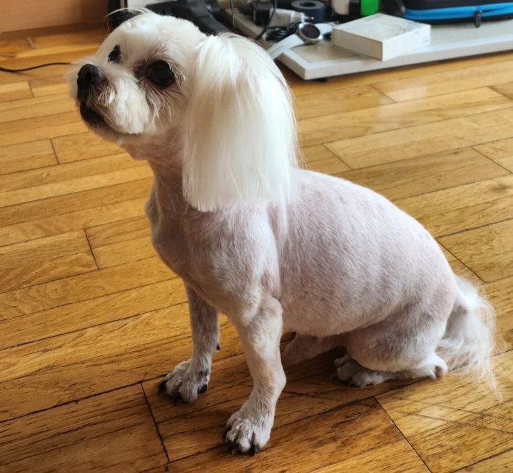 리뷰 사진 1
