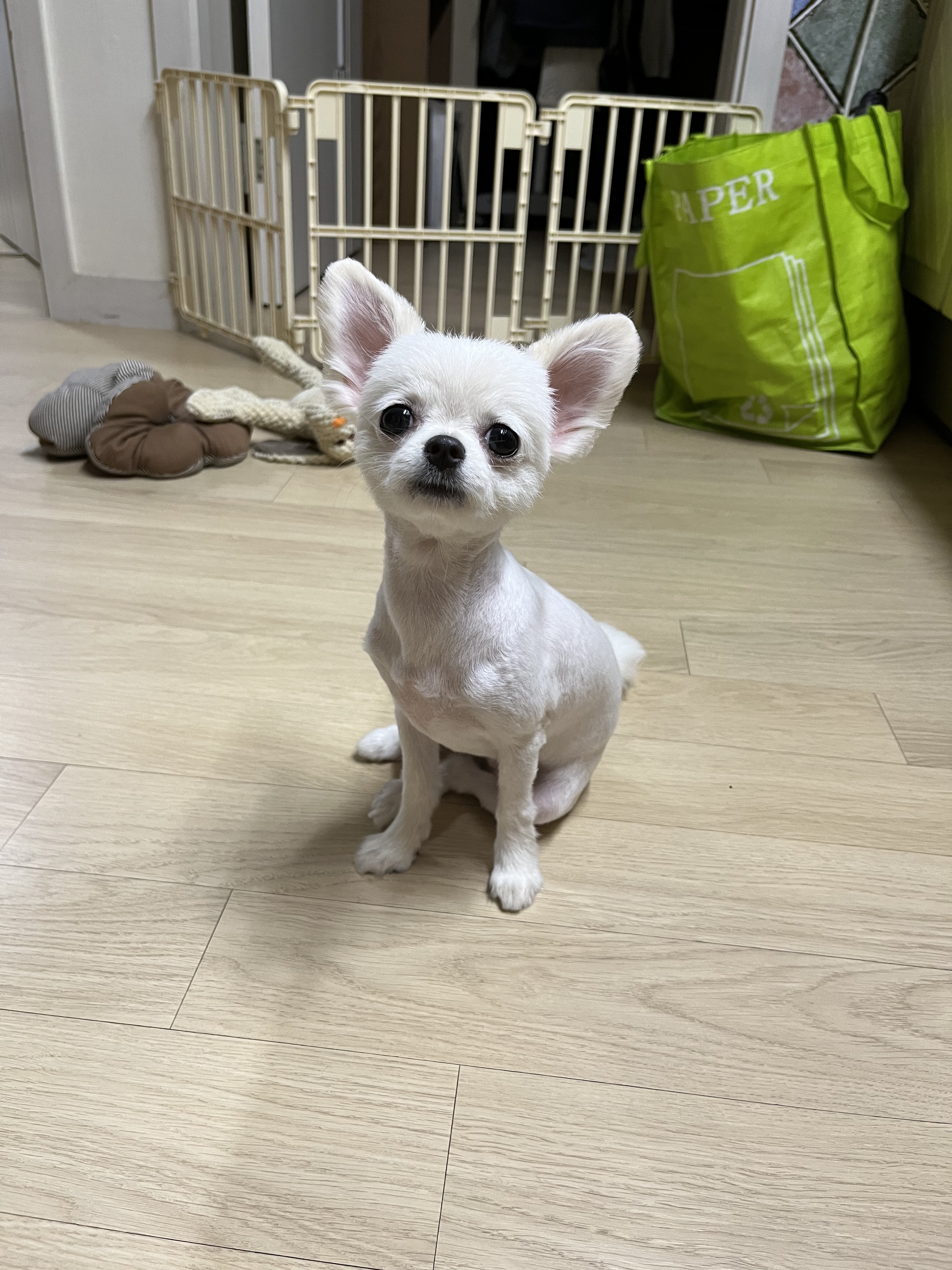 리뷰 사진 1