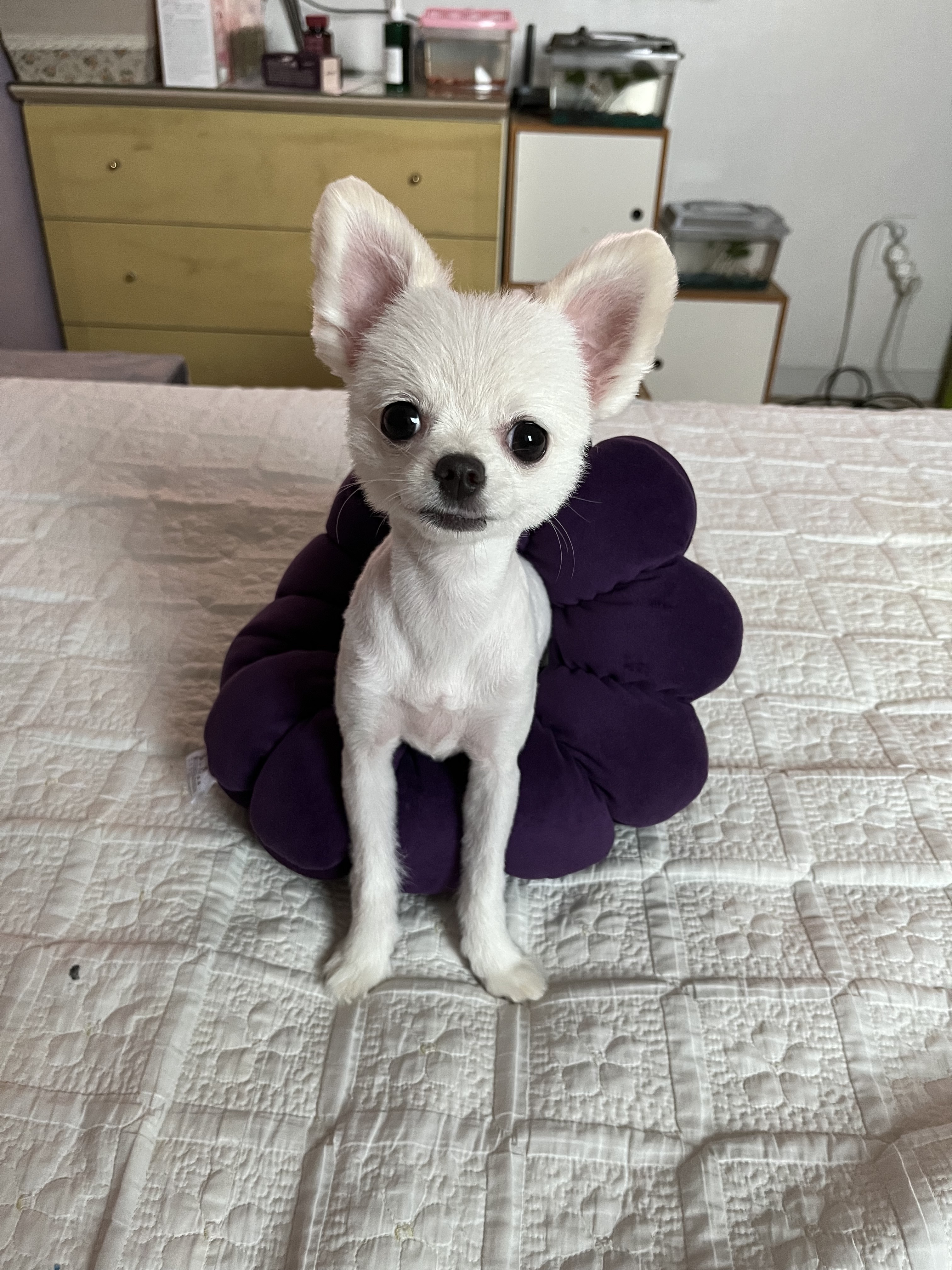 리뷰 사진 2