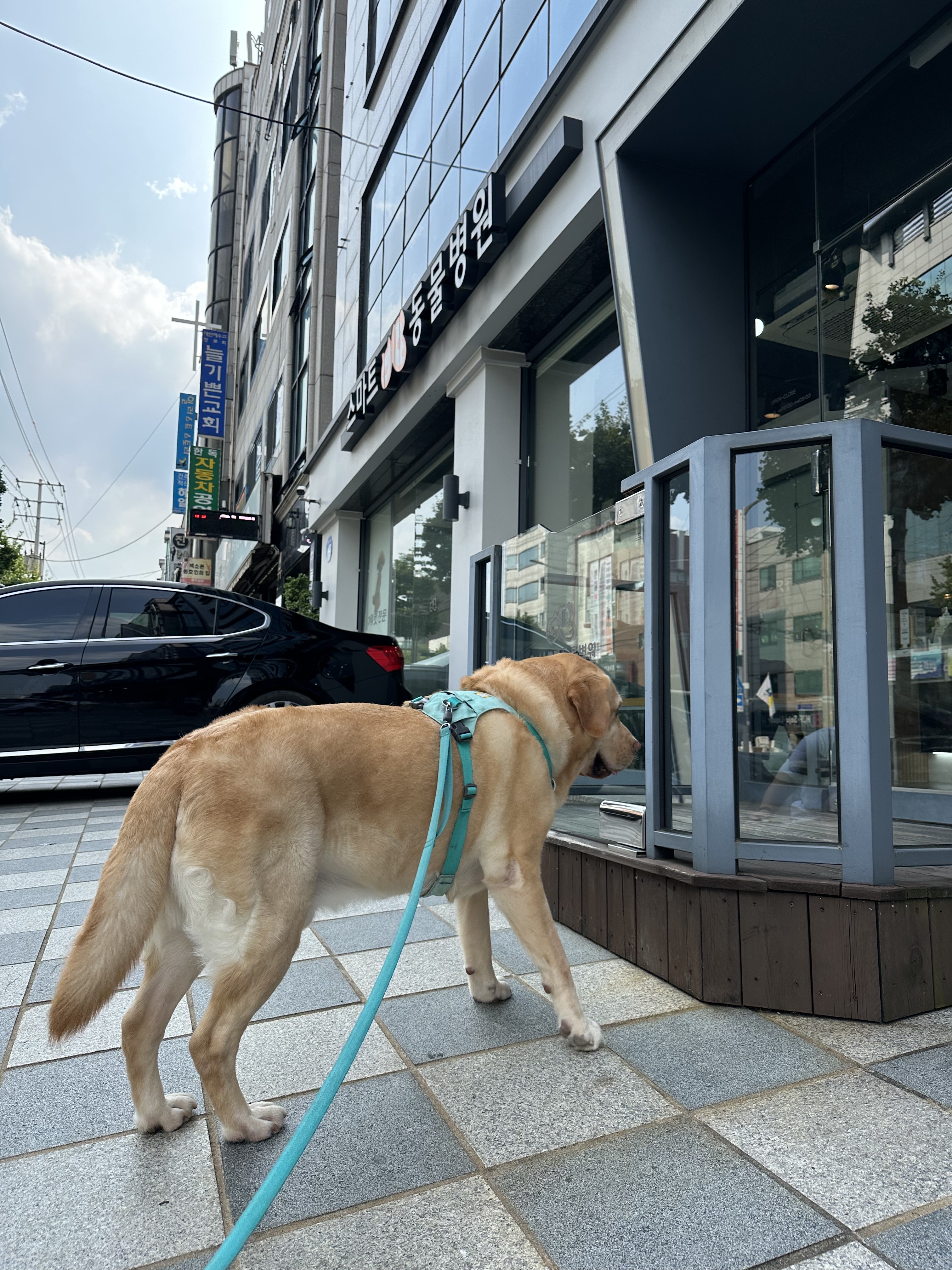 리뷰 사진 1