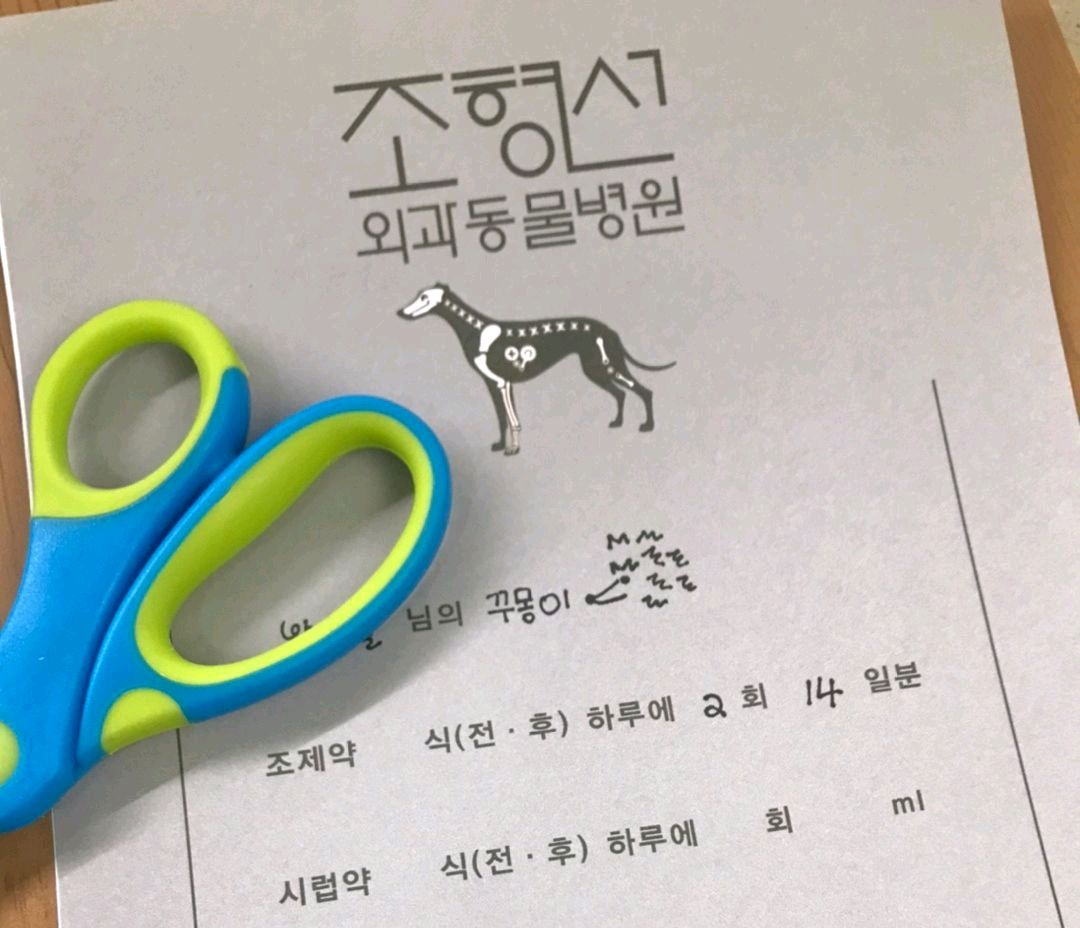 리뷰 사진 1