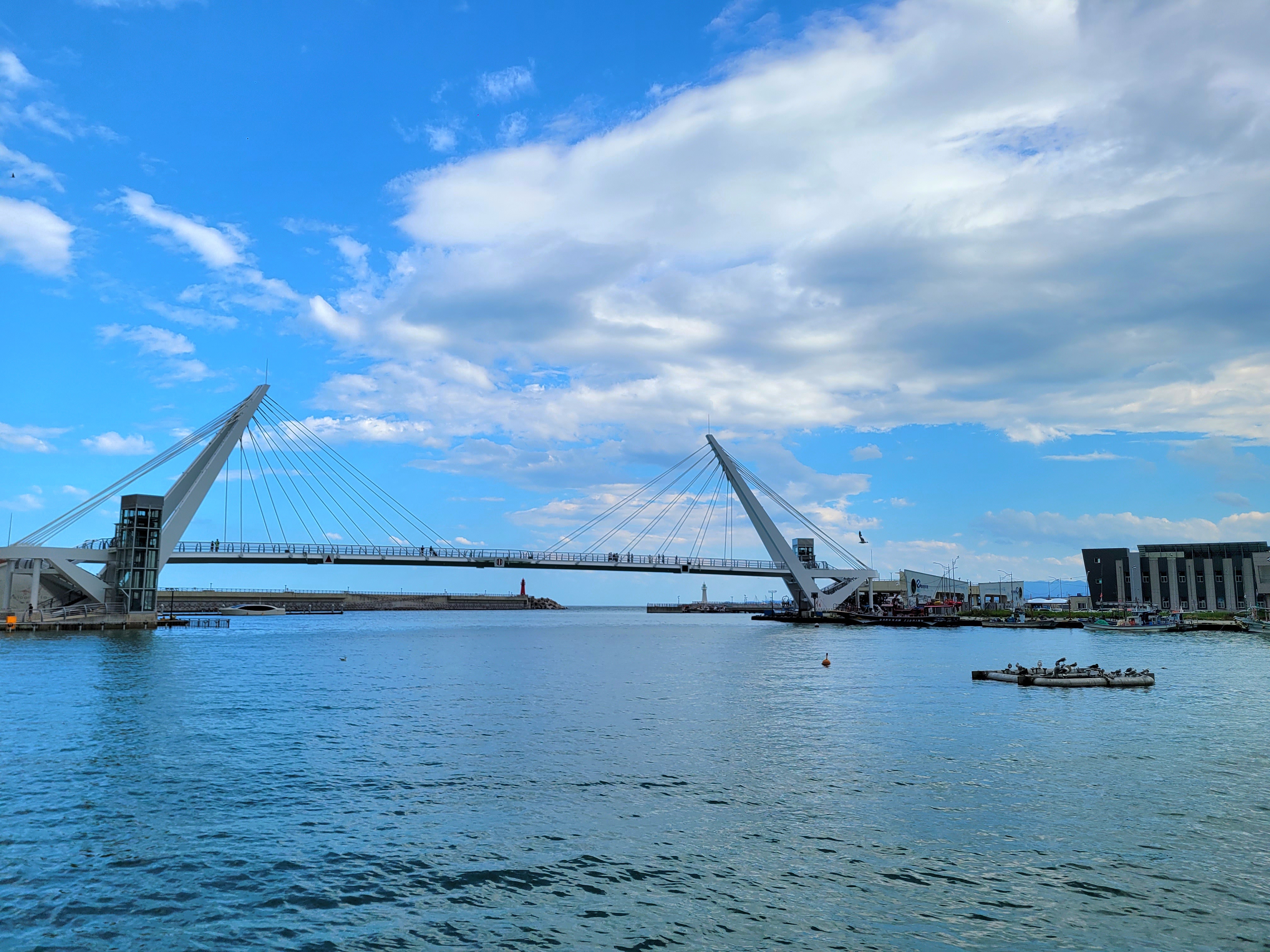 대포항 (Daepohang) 4