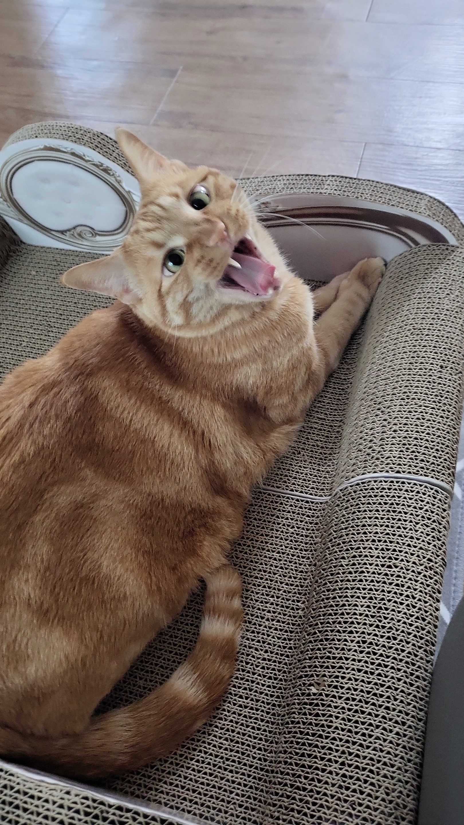 리뷰 사진 1