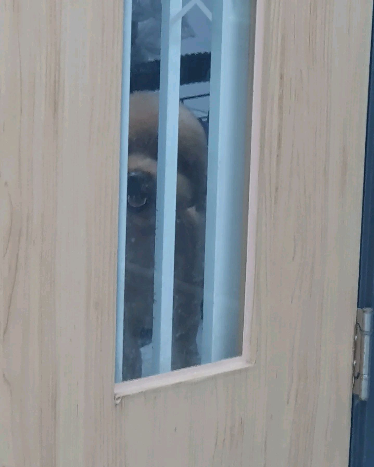 리뷰 사진 1