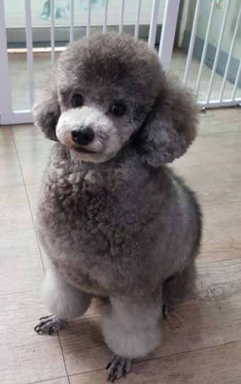 리뷰 사진 1