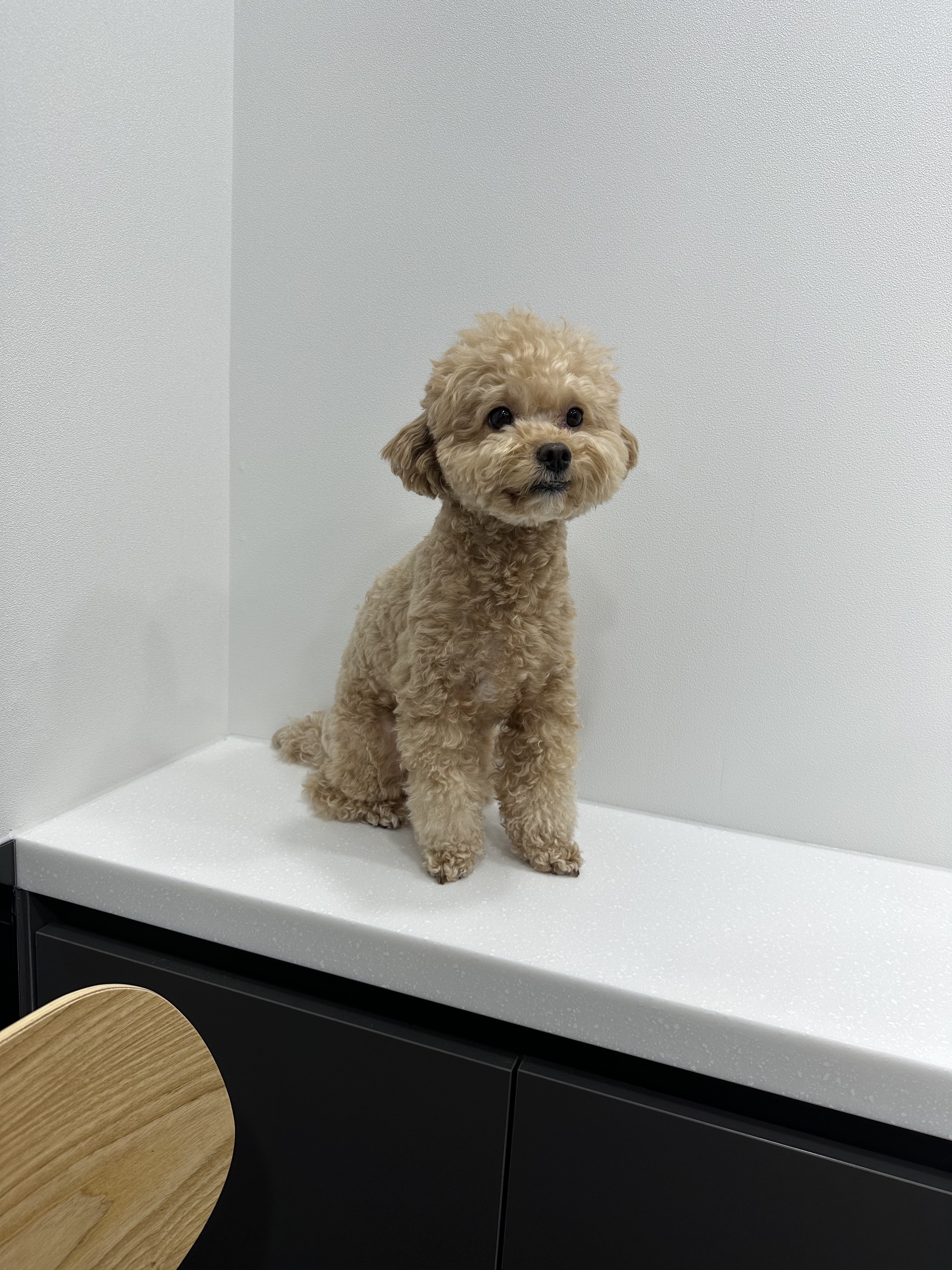 리뷰 사진 1