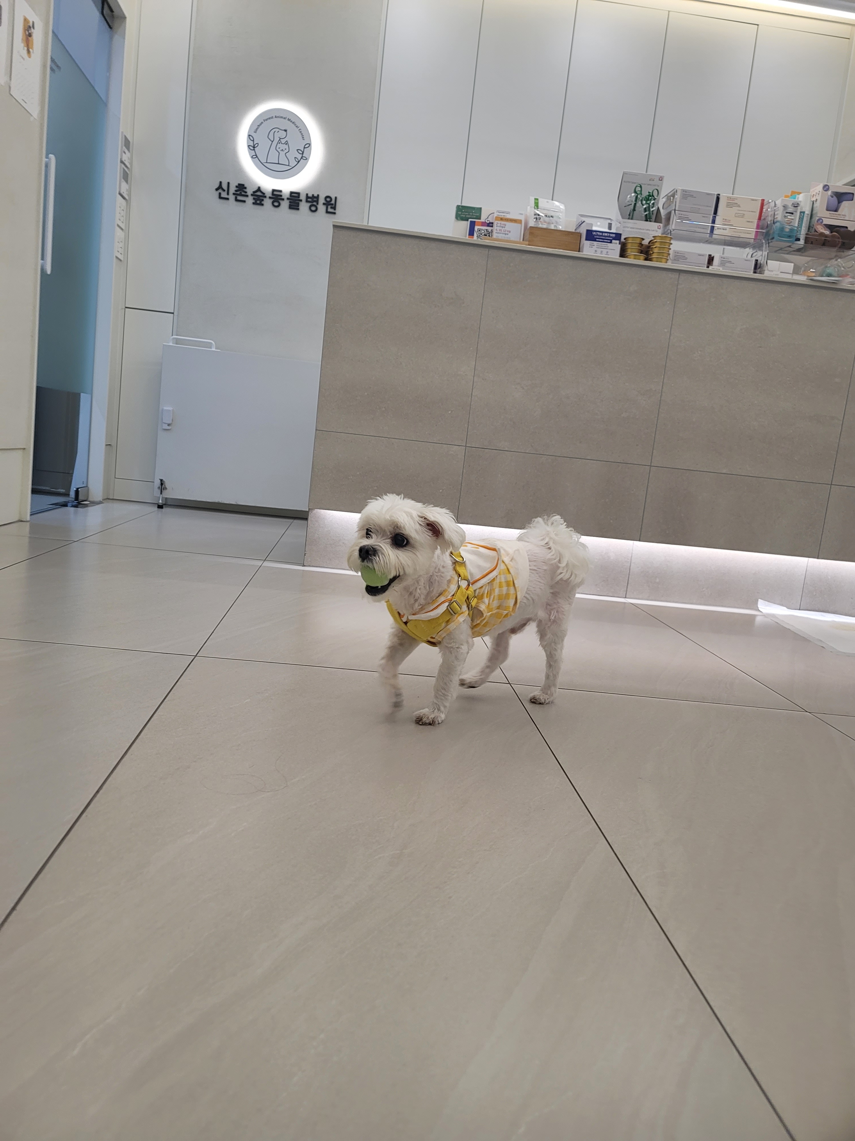 리뷰 사진 1