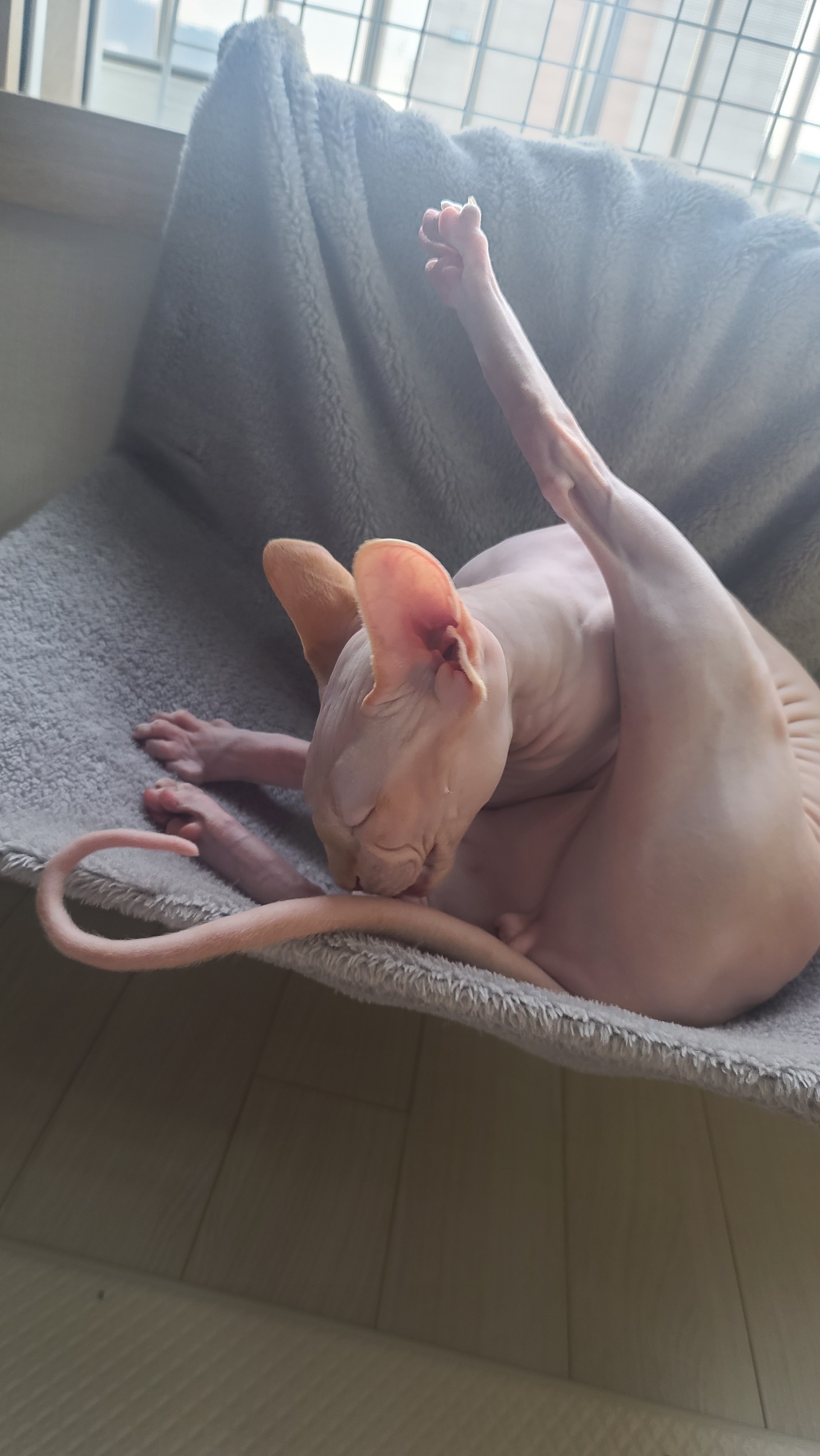 리뷰 사진 2