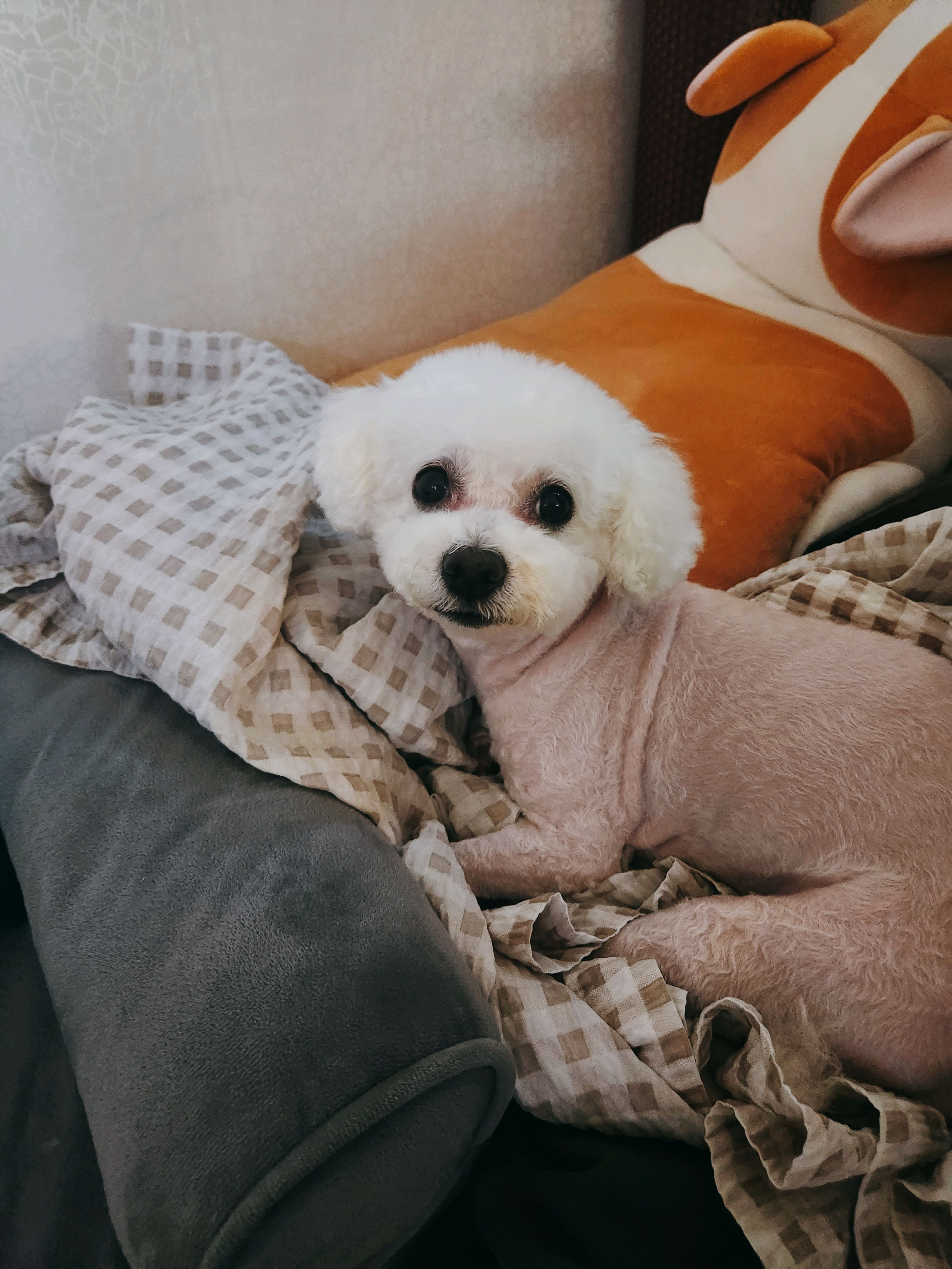 리뷰 사진 1