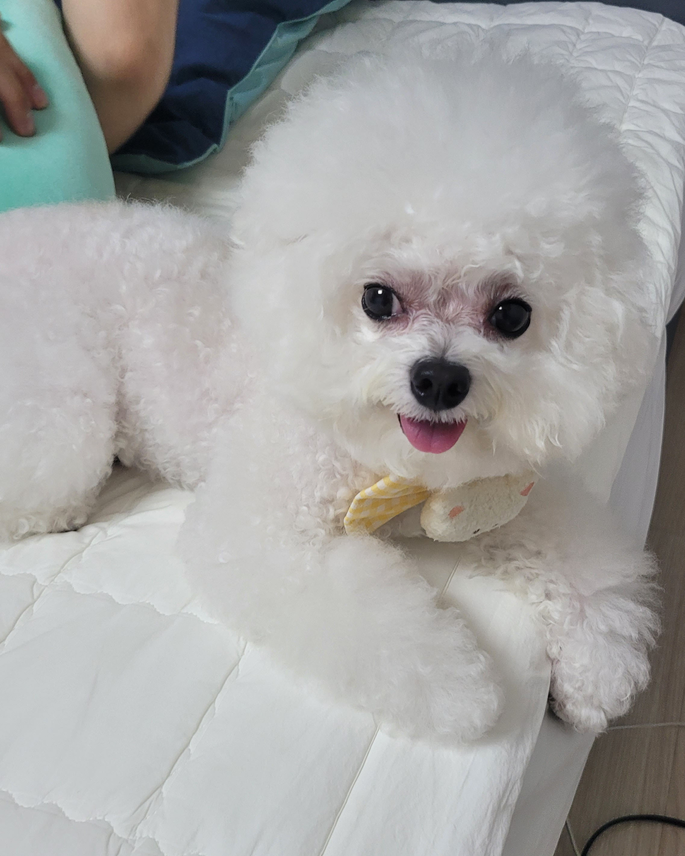 리뷰 사진 1