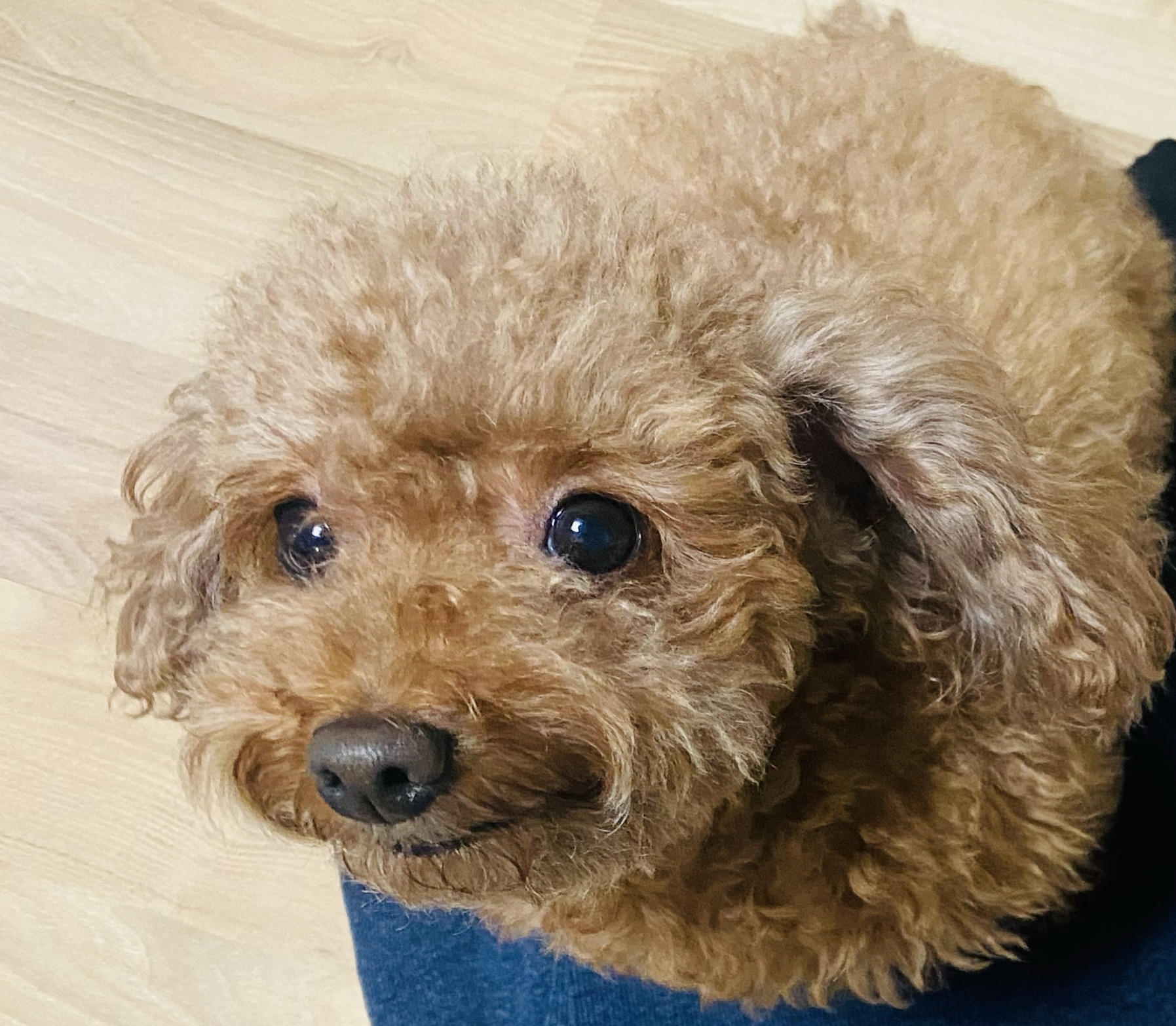 리뷰 사진 1