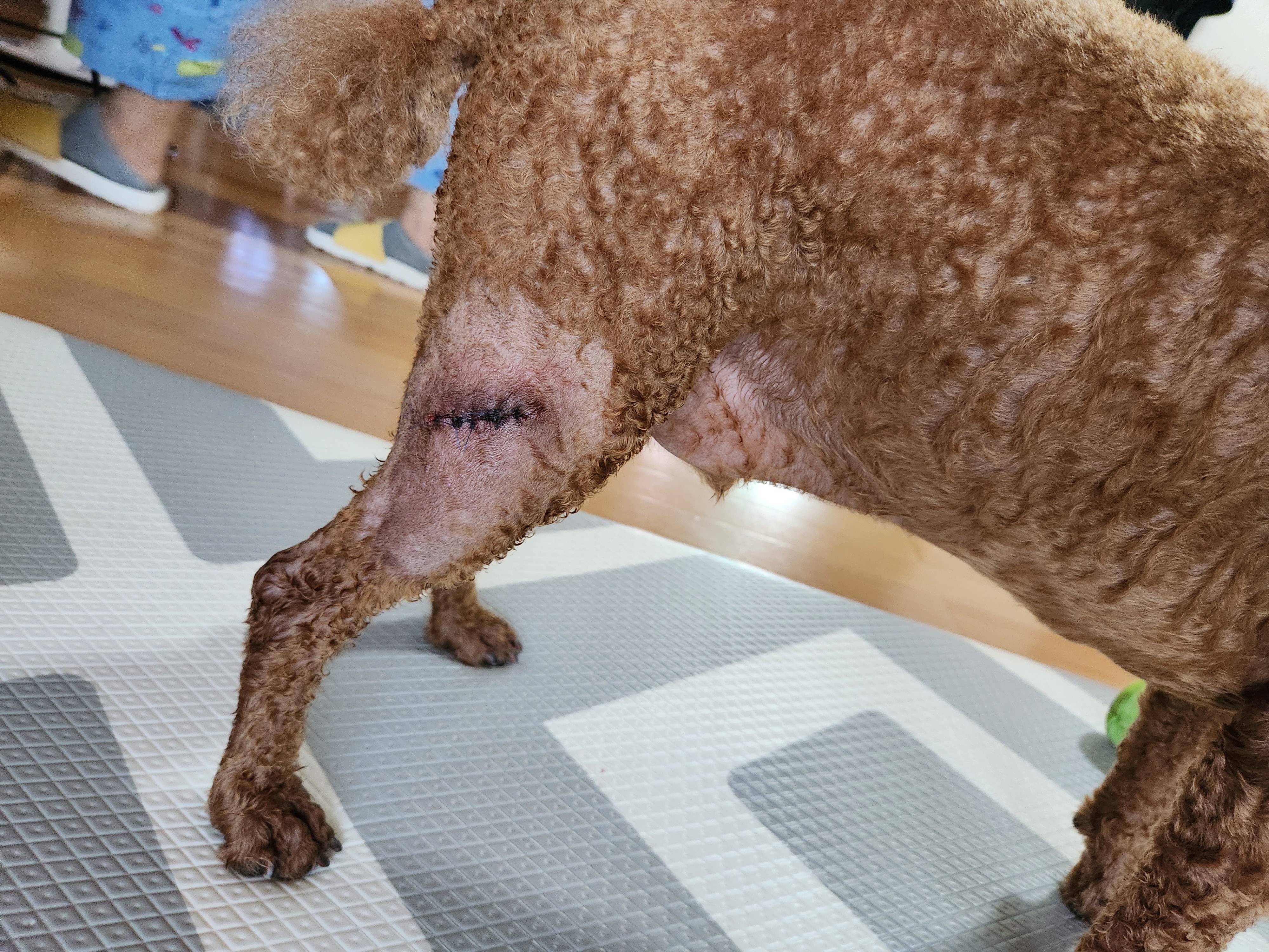 정 동물병원 사진 2