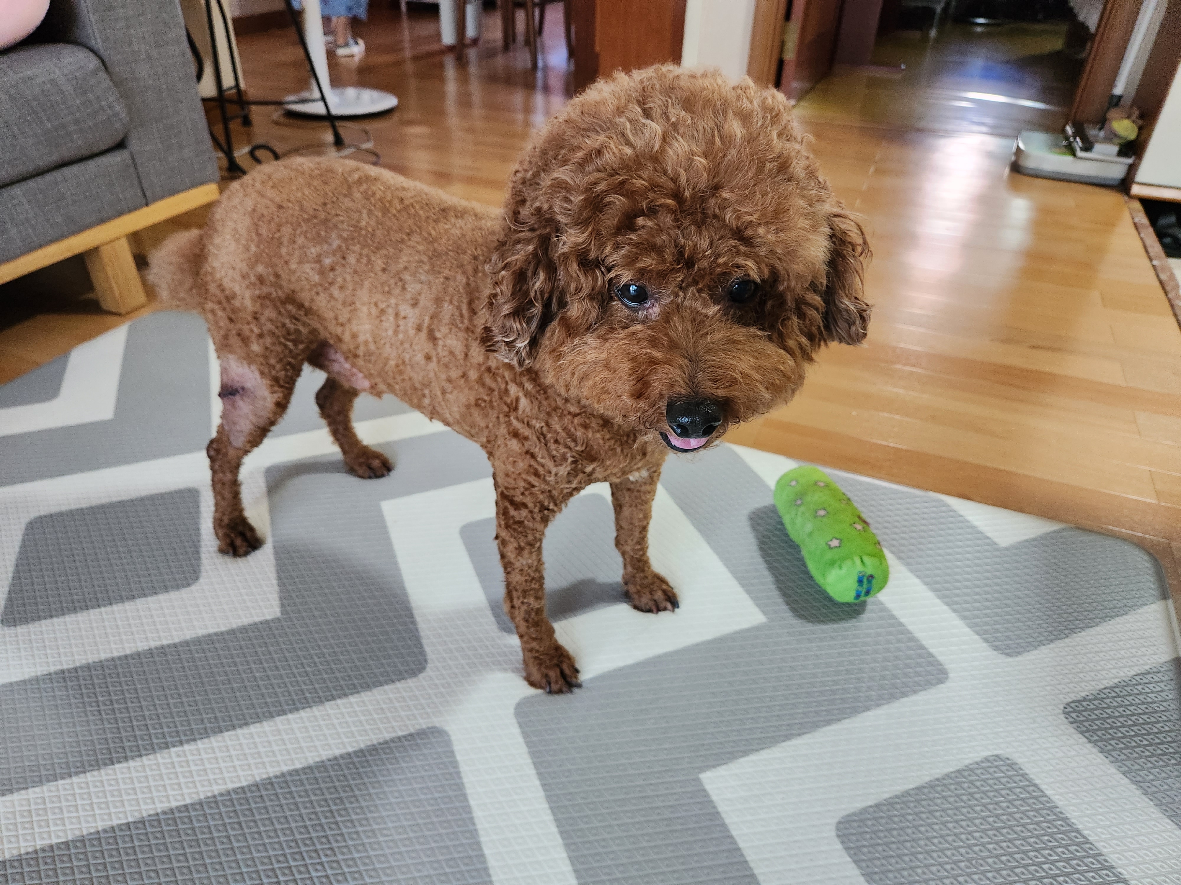 정 동물병원 사진 3