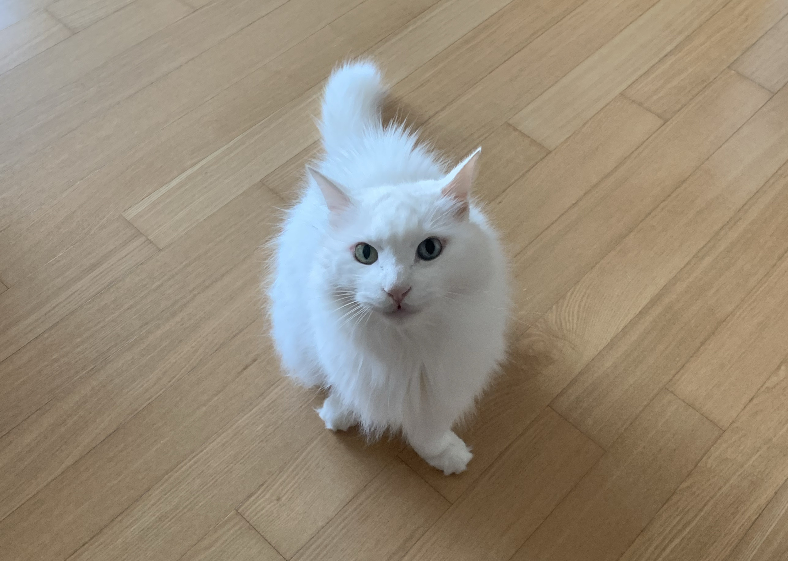 리뷰 사진 1