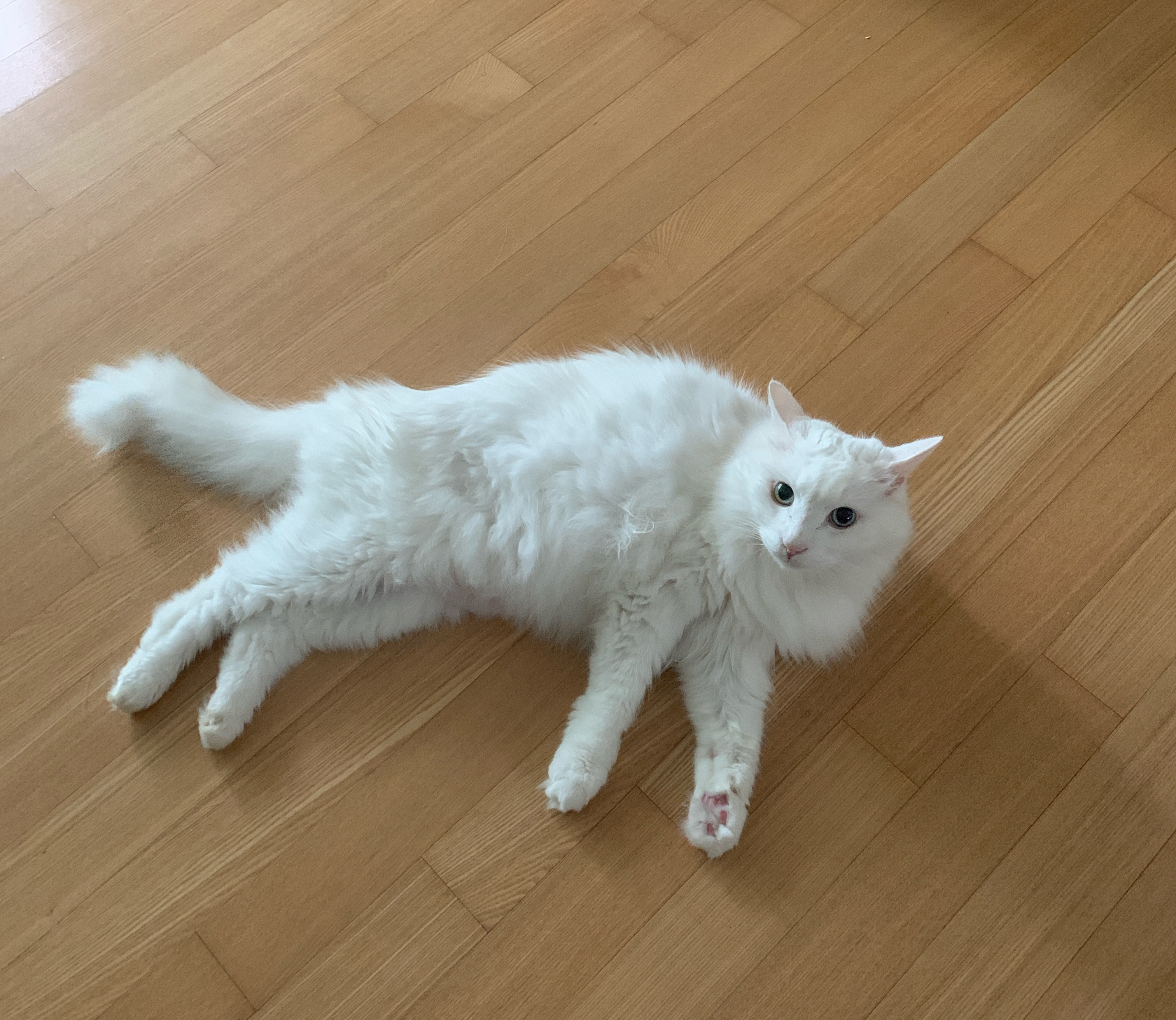 리뷰 사진 1