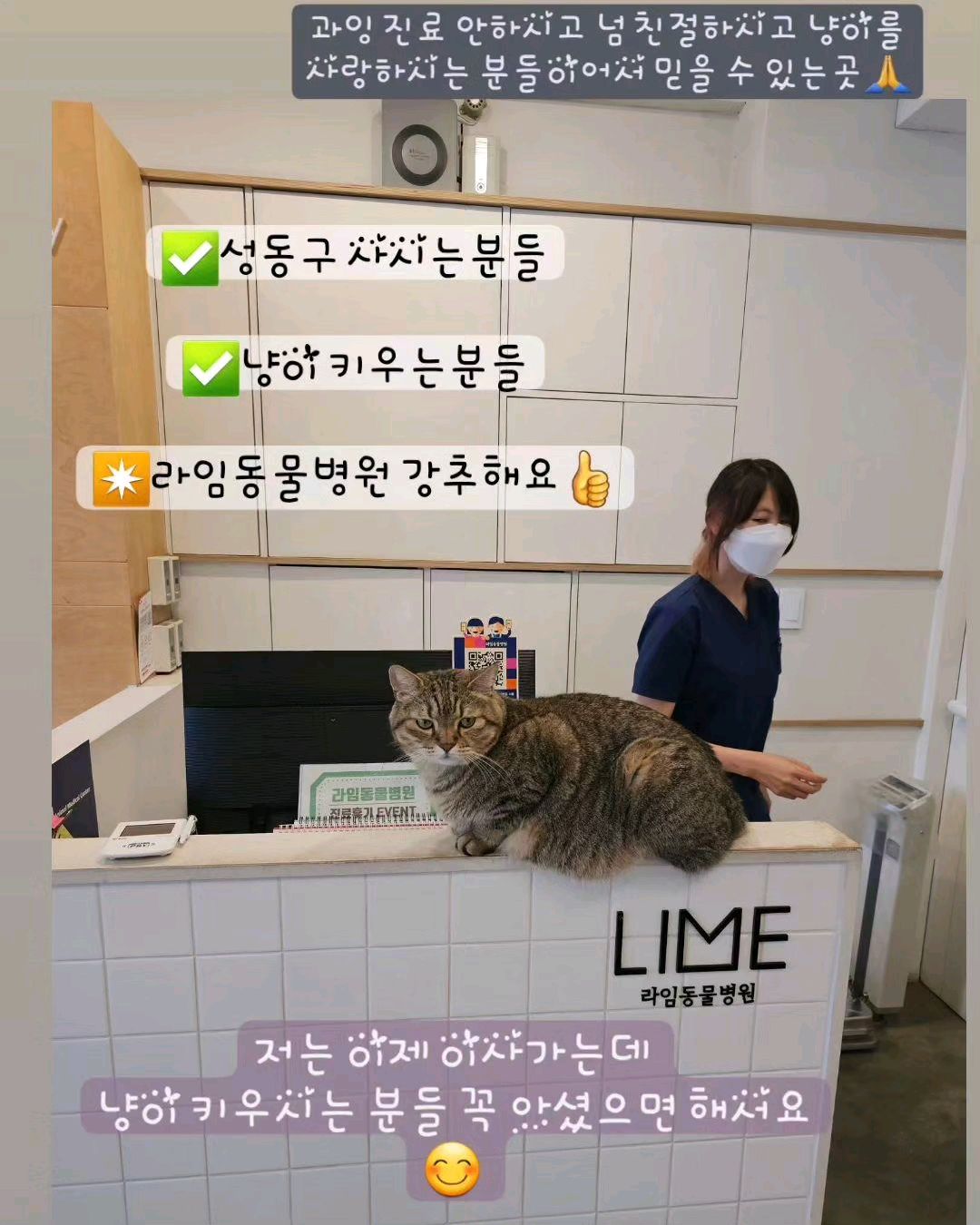 리뷰 사진 1