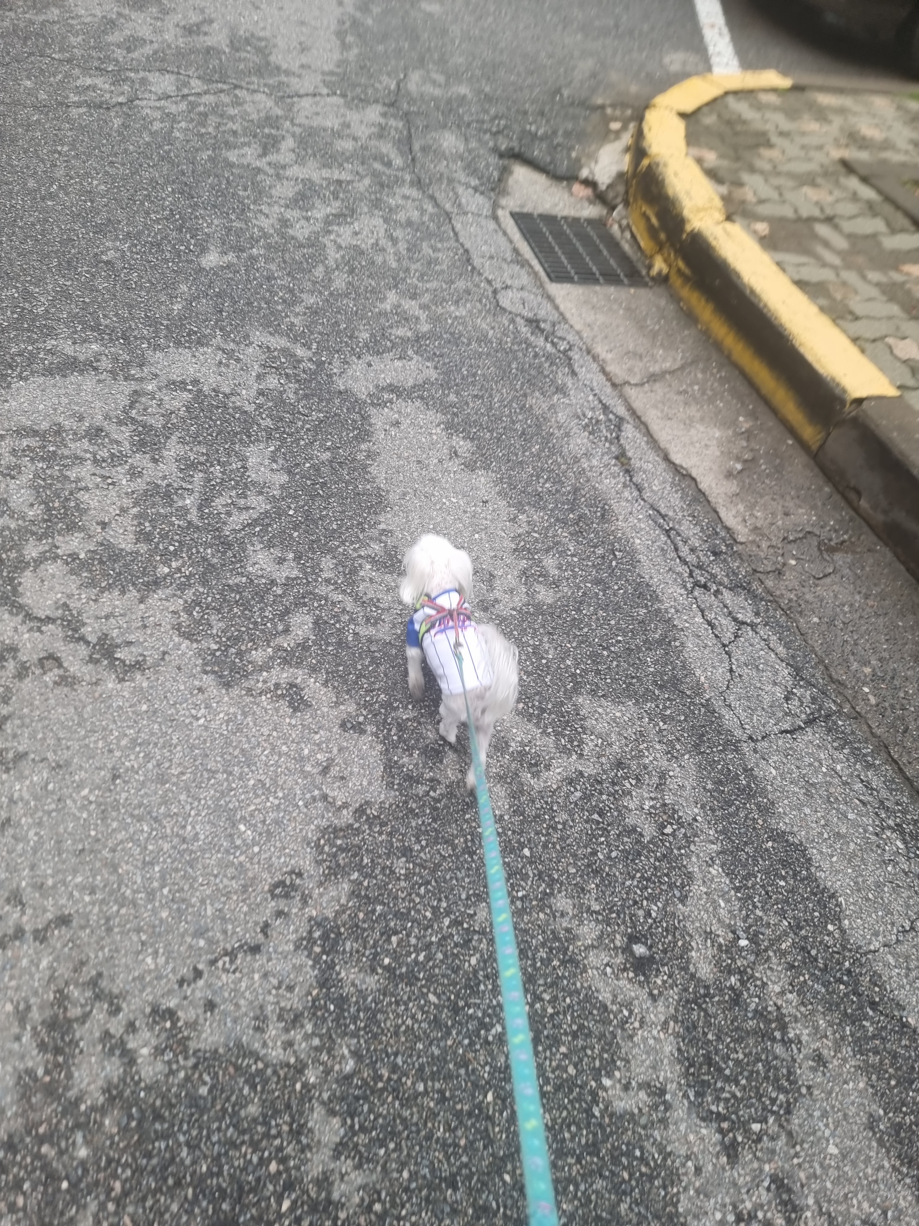 리뷰 사진 1