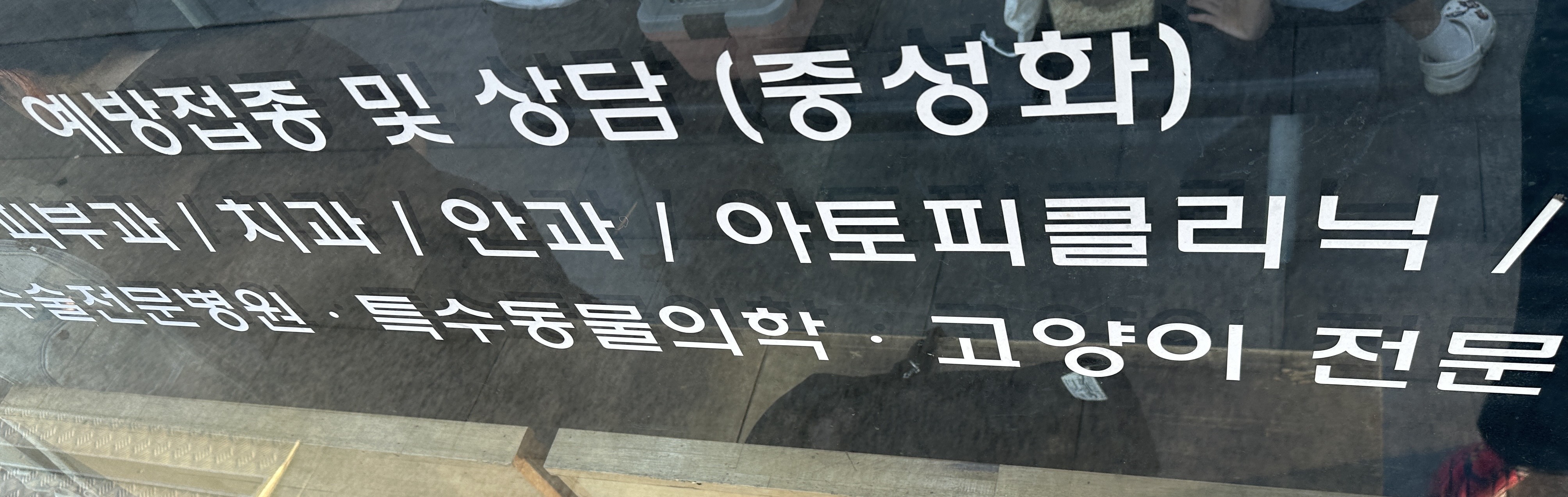 리뷰 사진 1