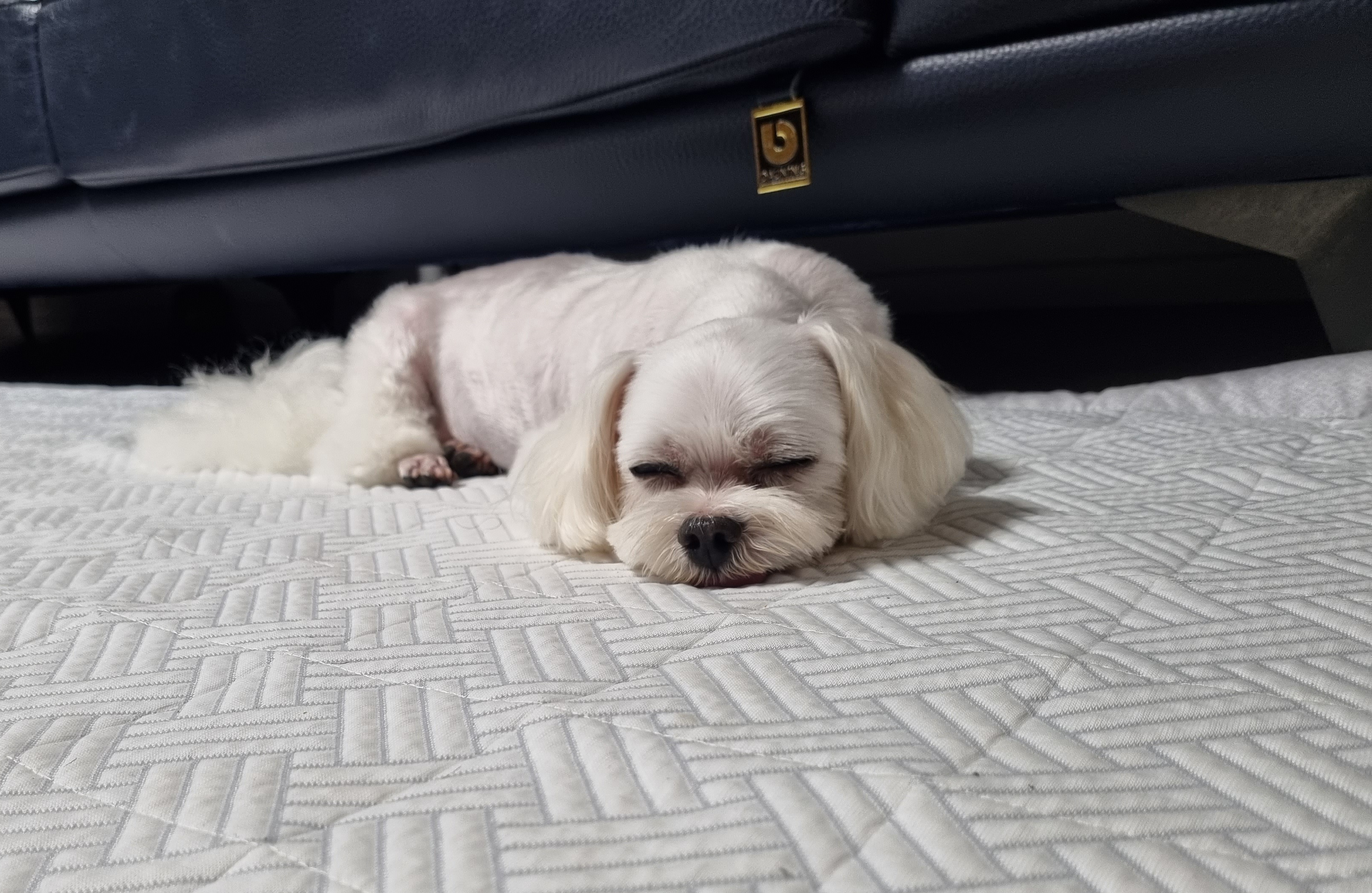 리뷰 사진 1