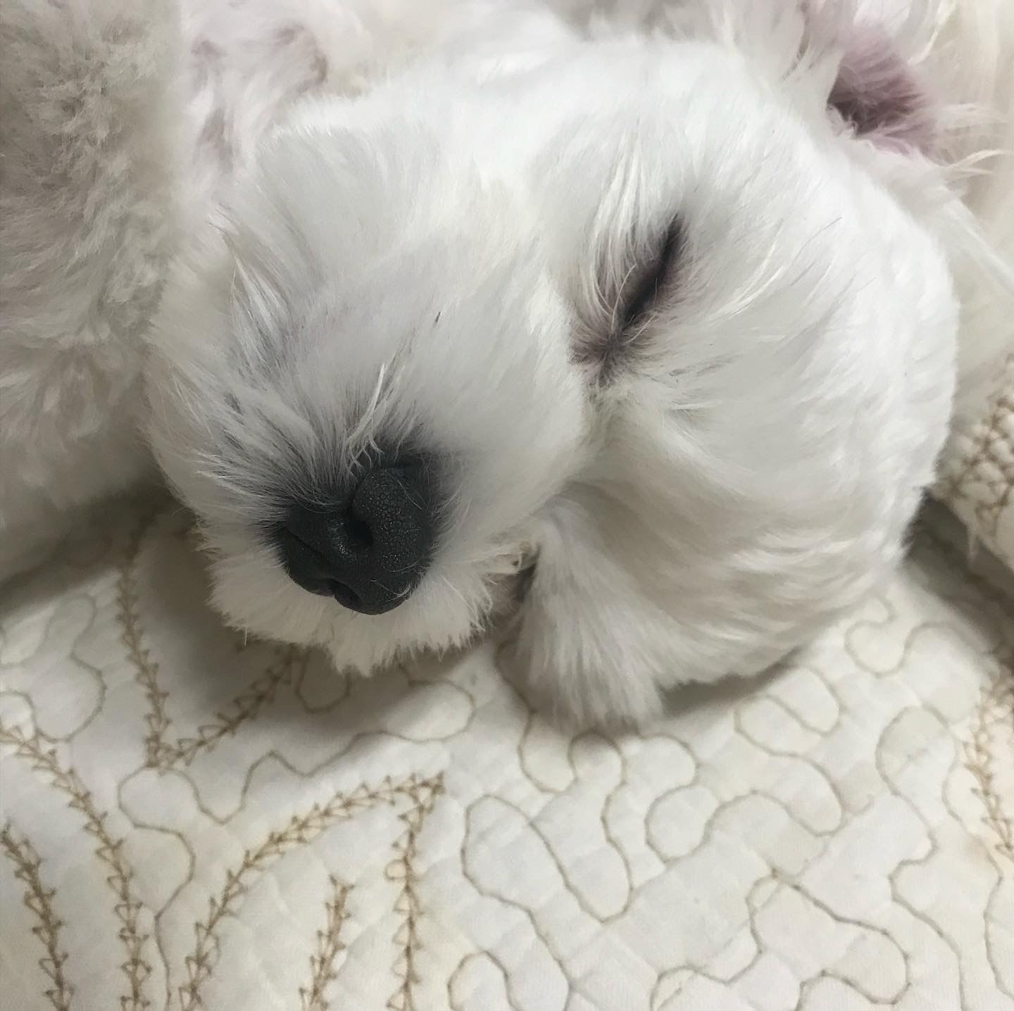리뷰 사진 1