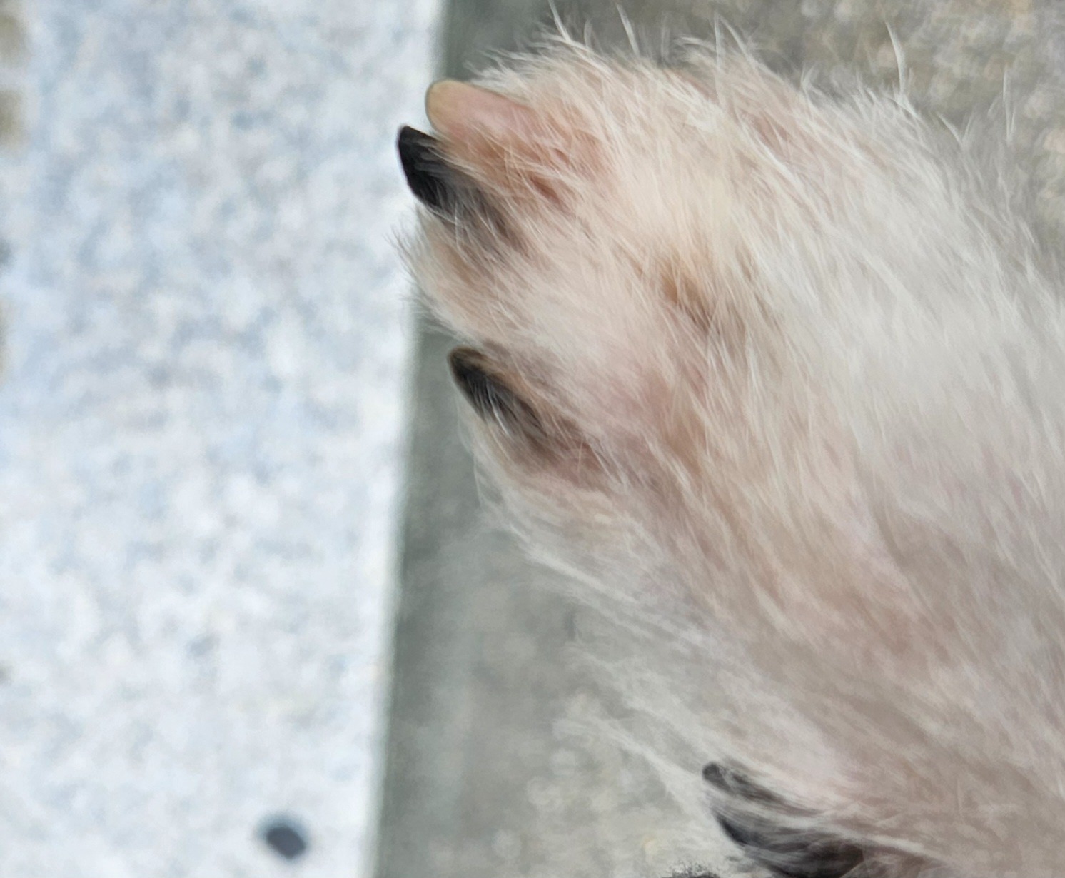 리뷰 사진 1