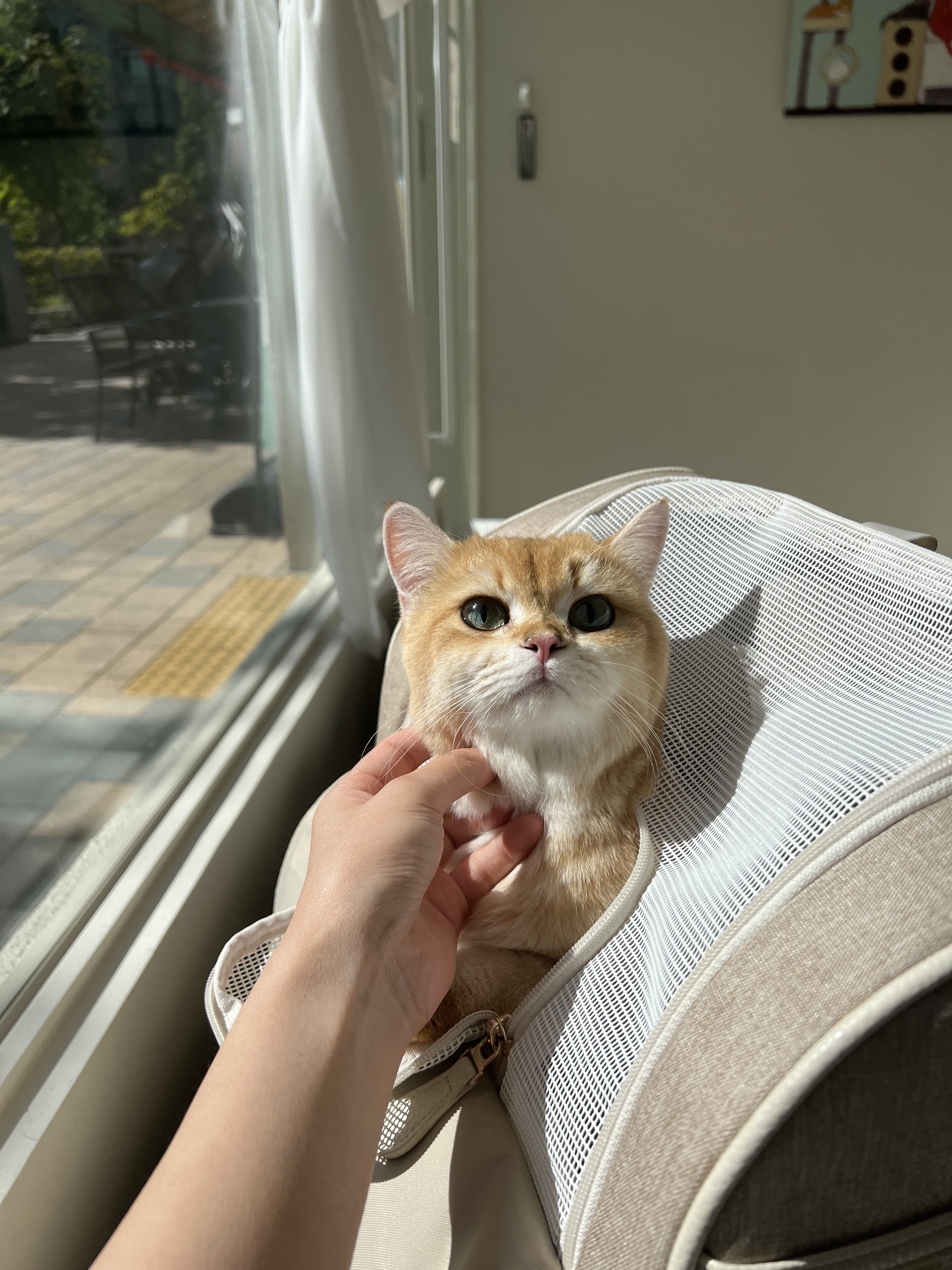 리뷰 사진 1