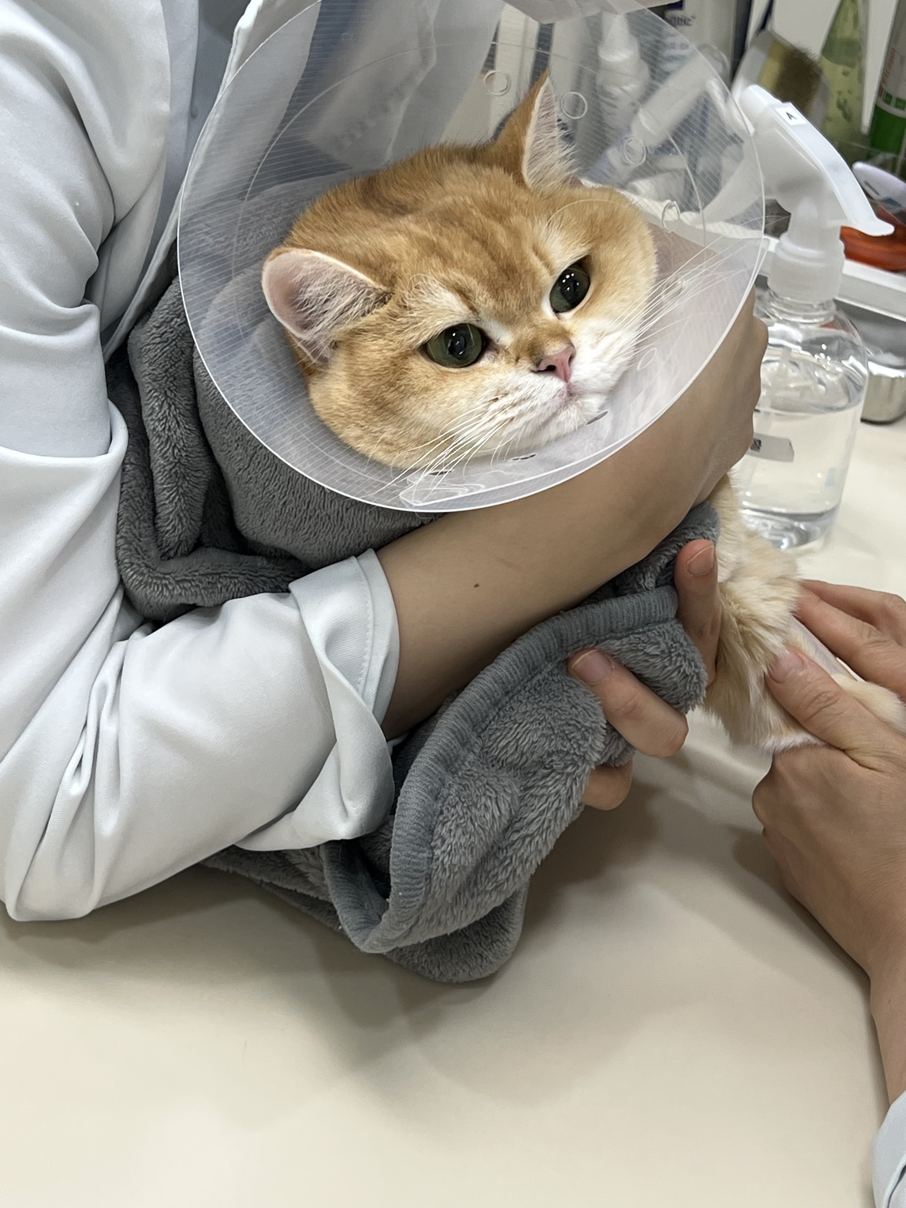 리뷰 사진 2