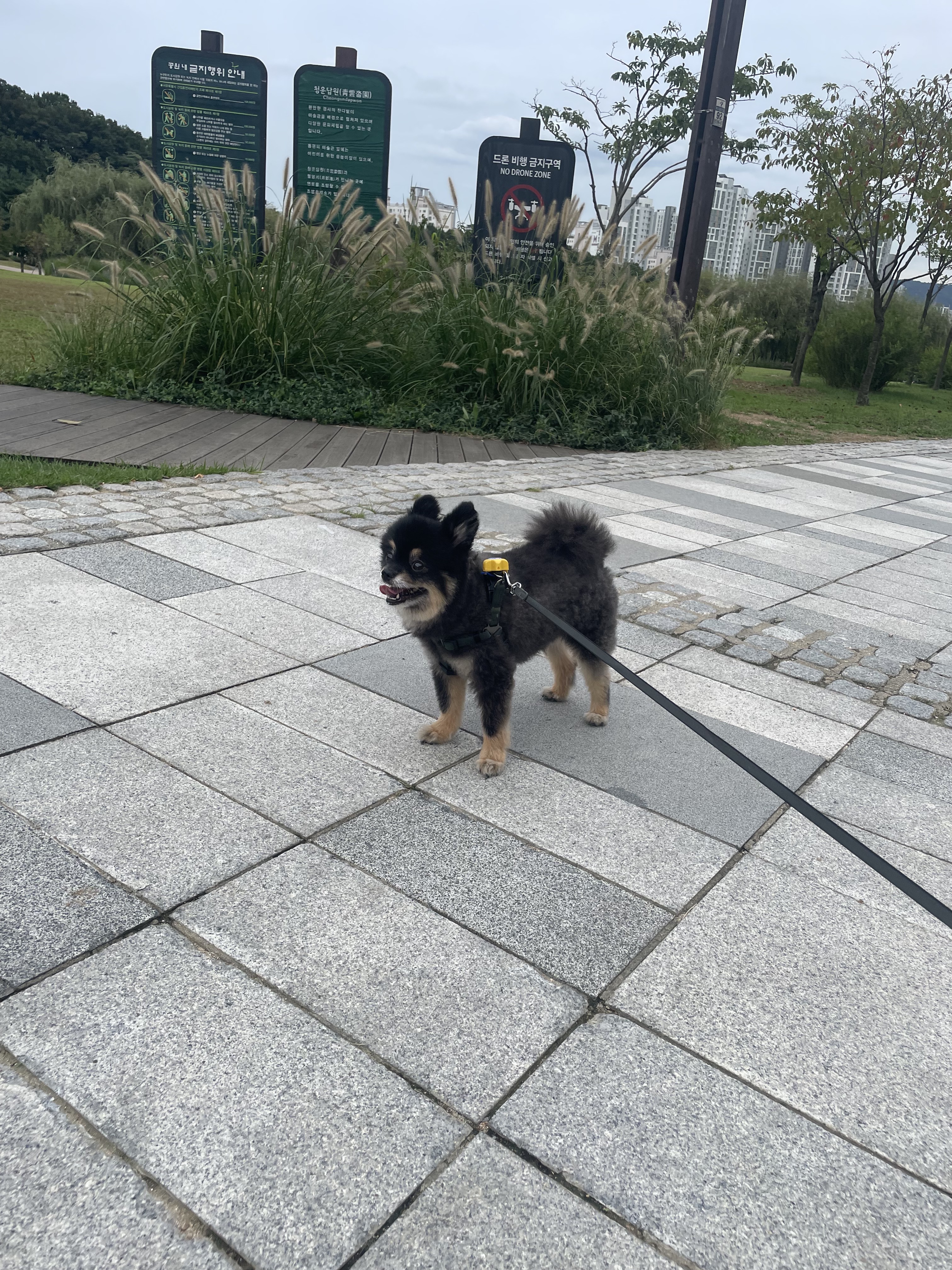 리뷰 사진 1