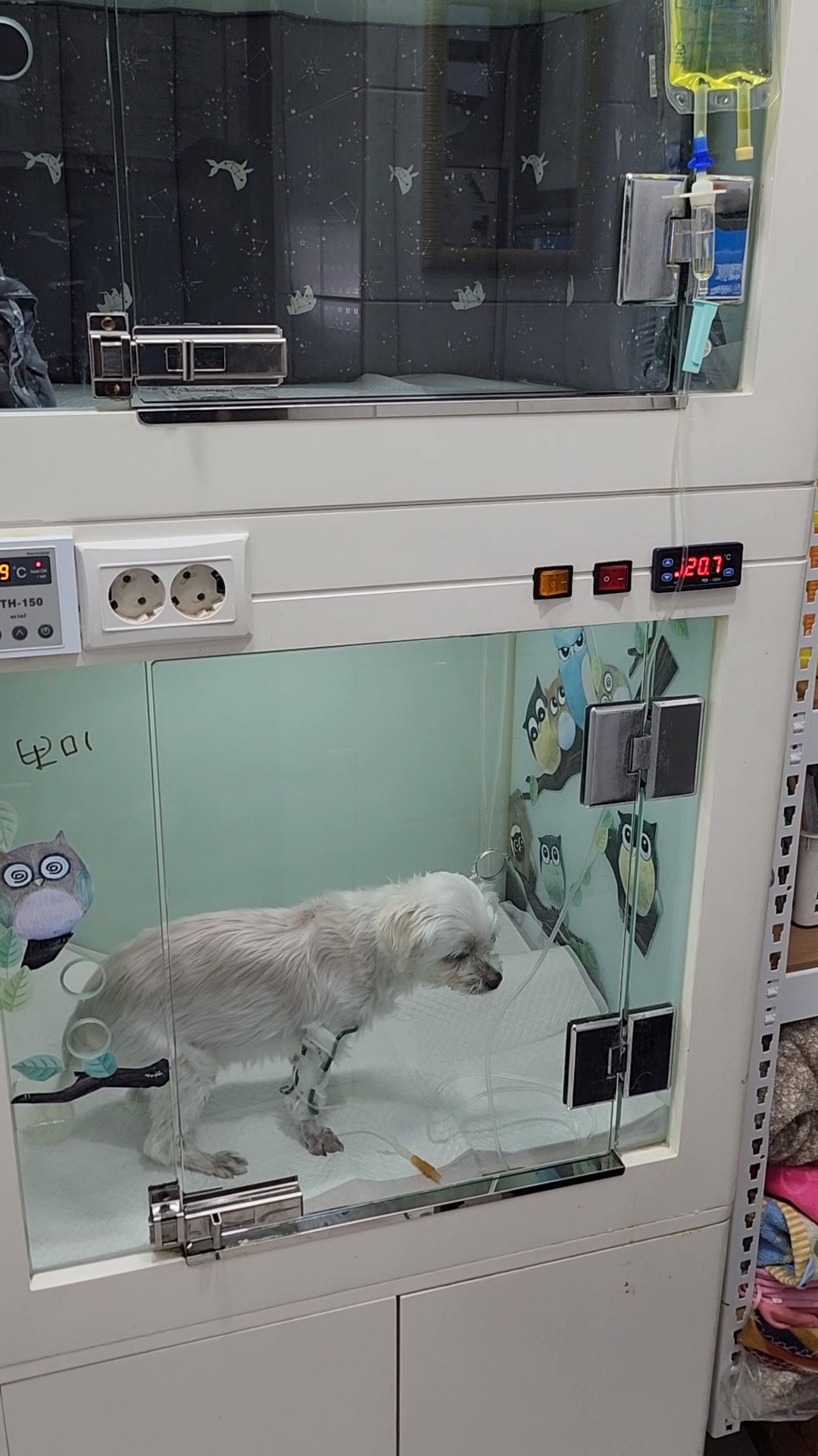 리뷰 사진 3