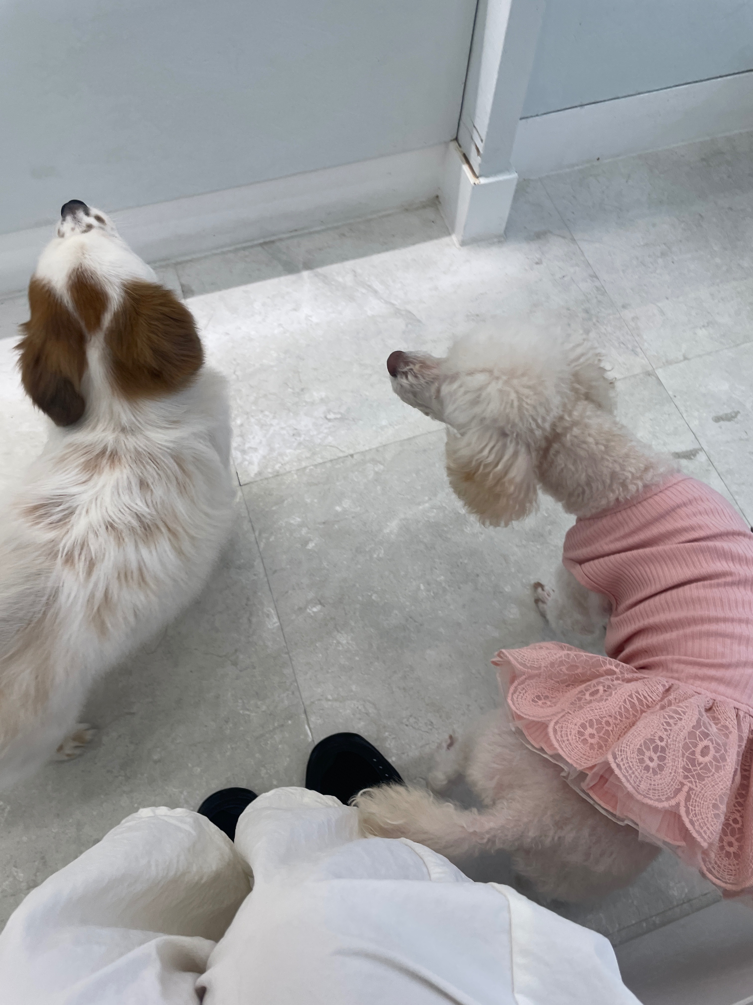 리뷰 사진 2